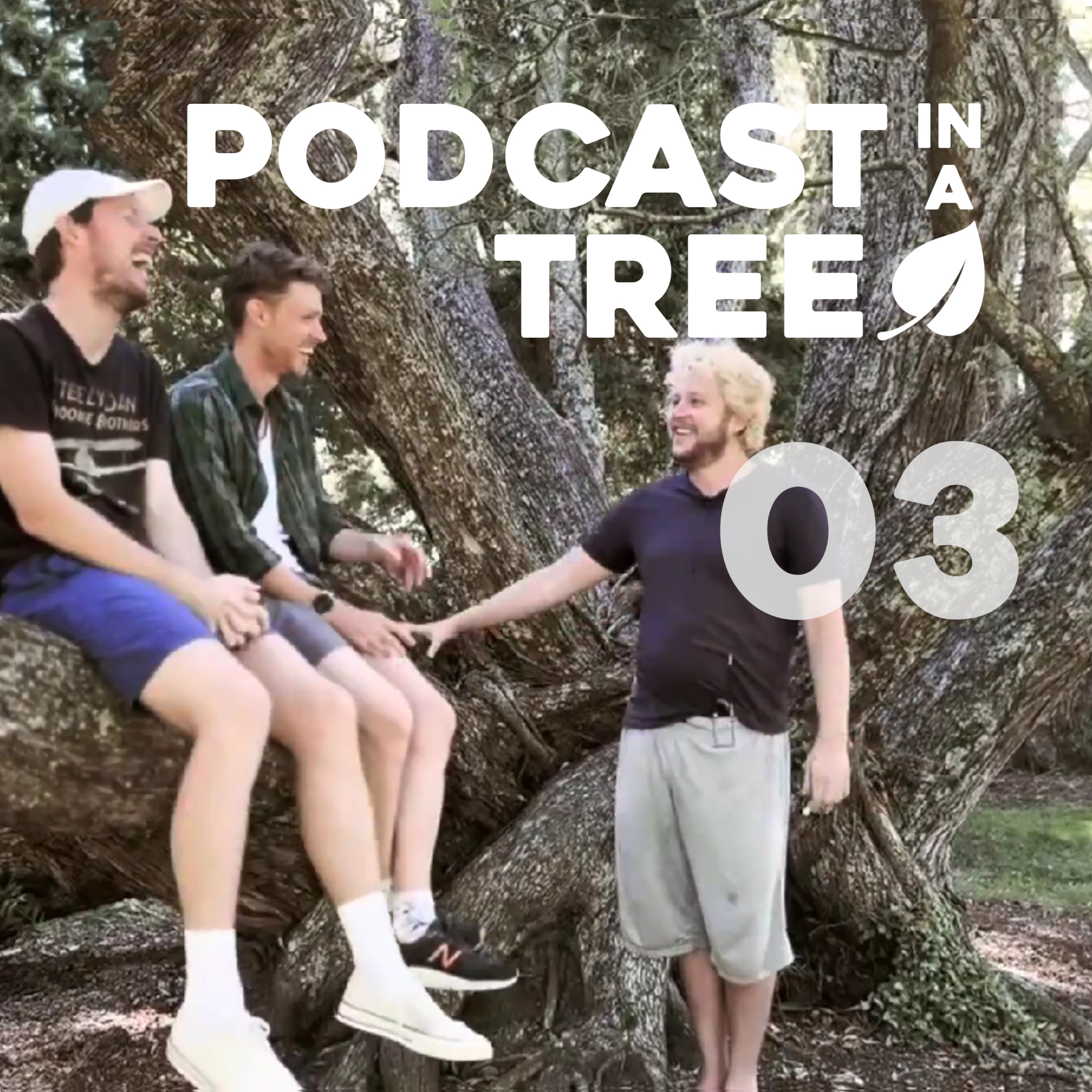 cover art for Podcast in a Tree 2: 03