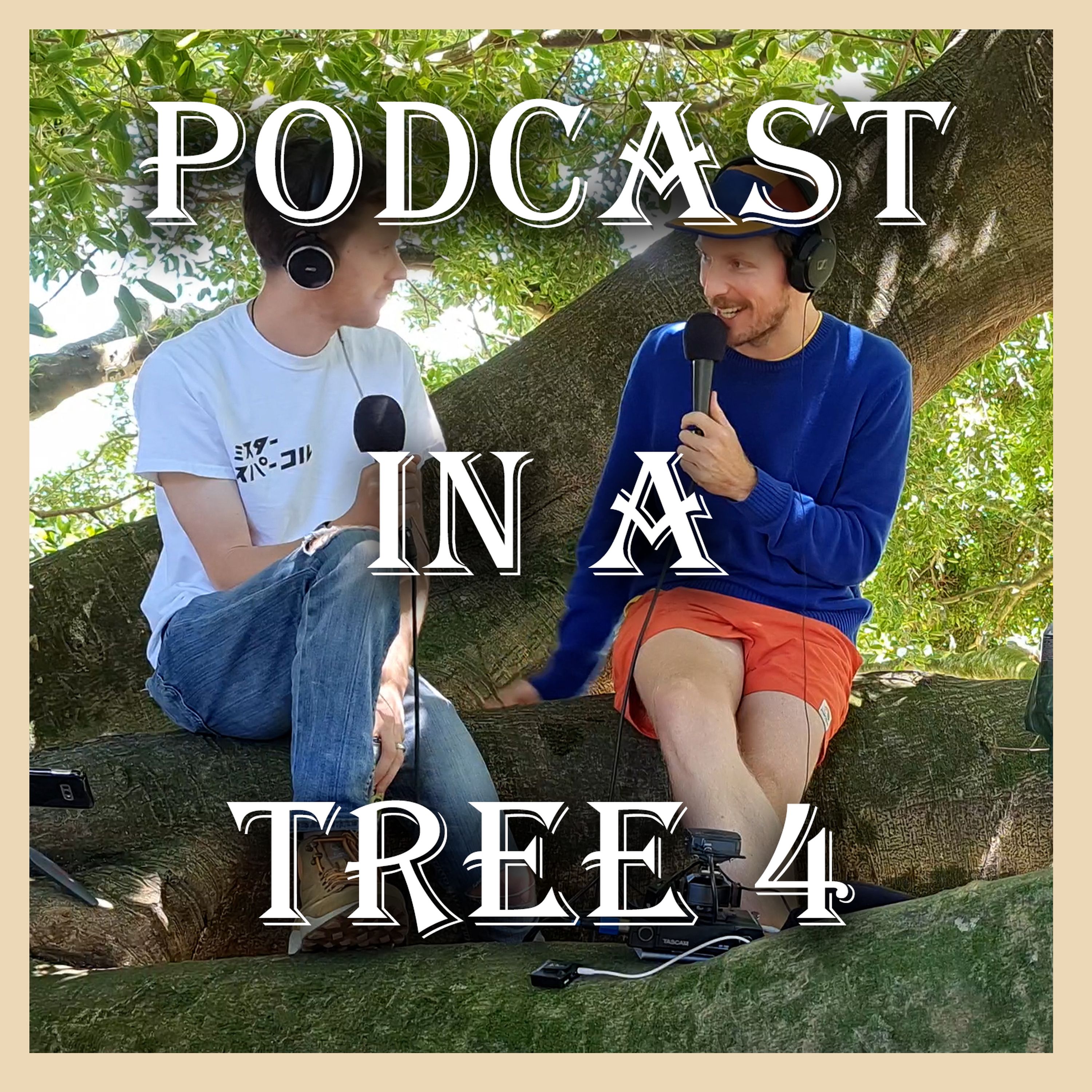 Podcast In A Tree 04