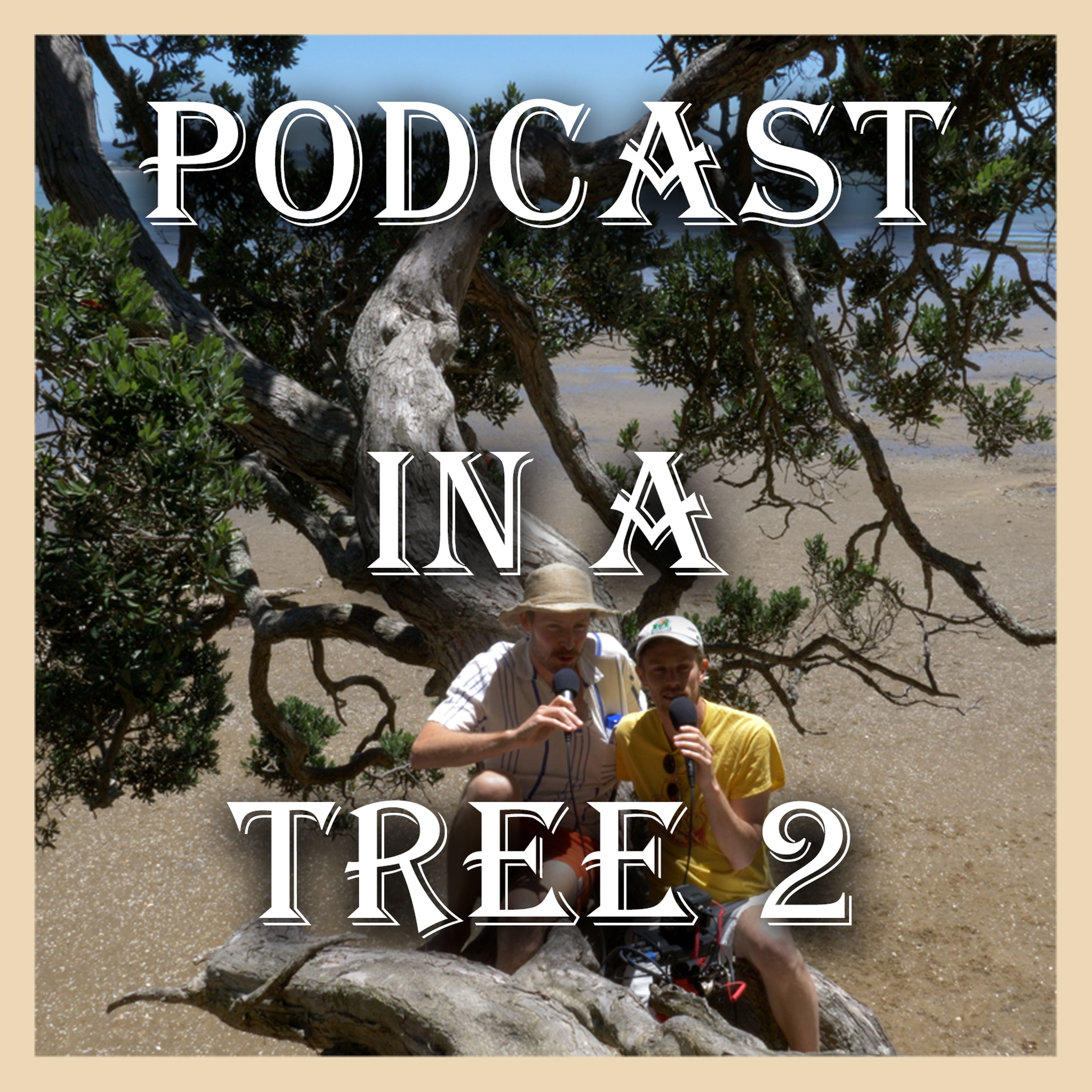 Podcast In A Tree 02