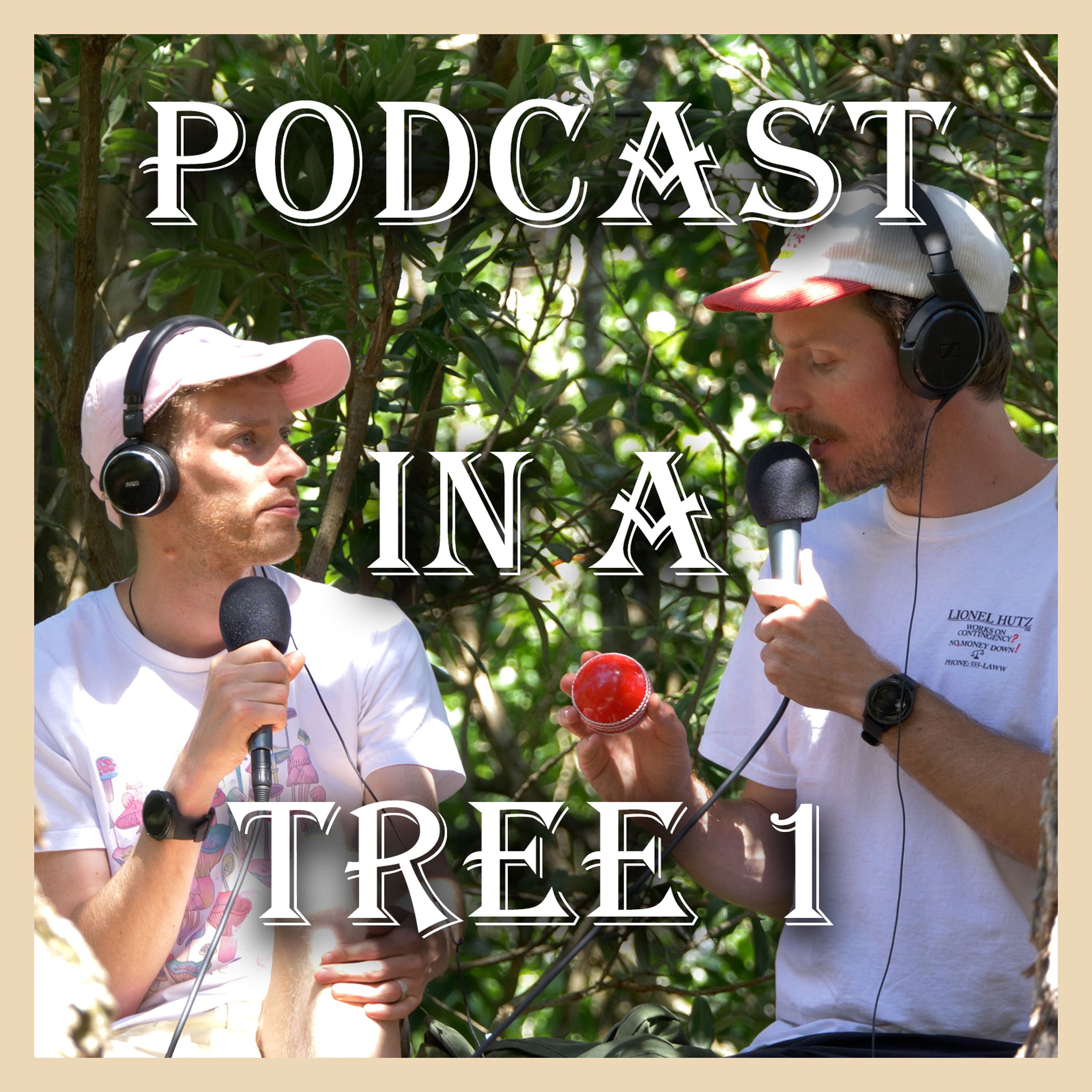 Podcast In A Tree 01