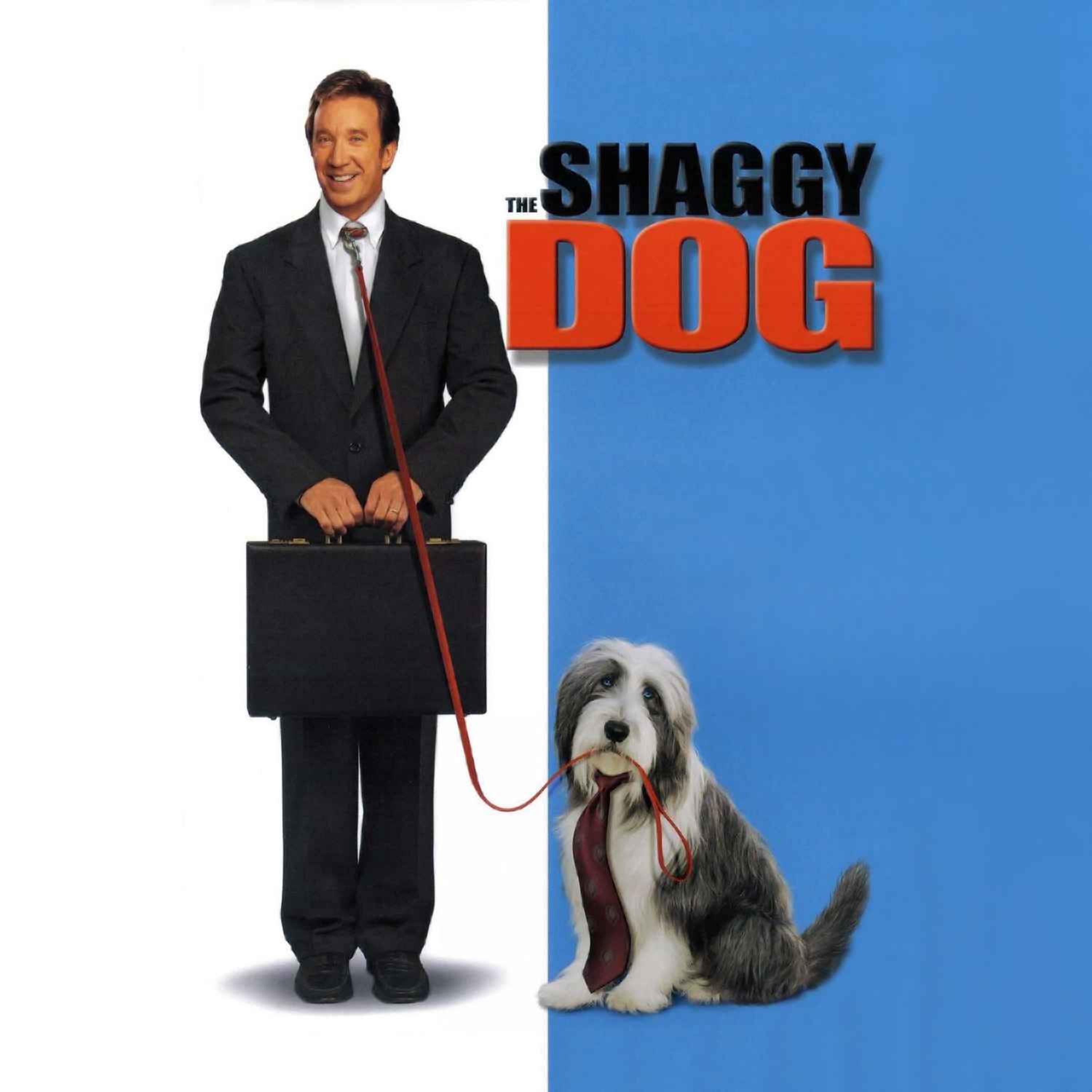 cover art for The Shaggy Dog (2006)