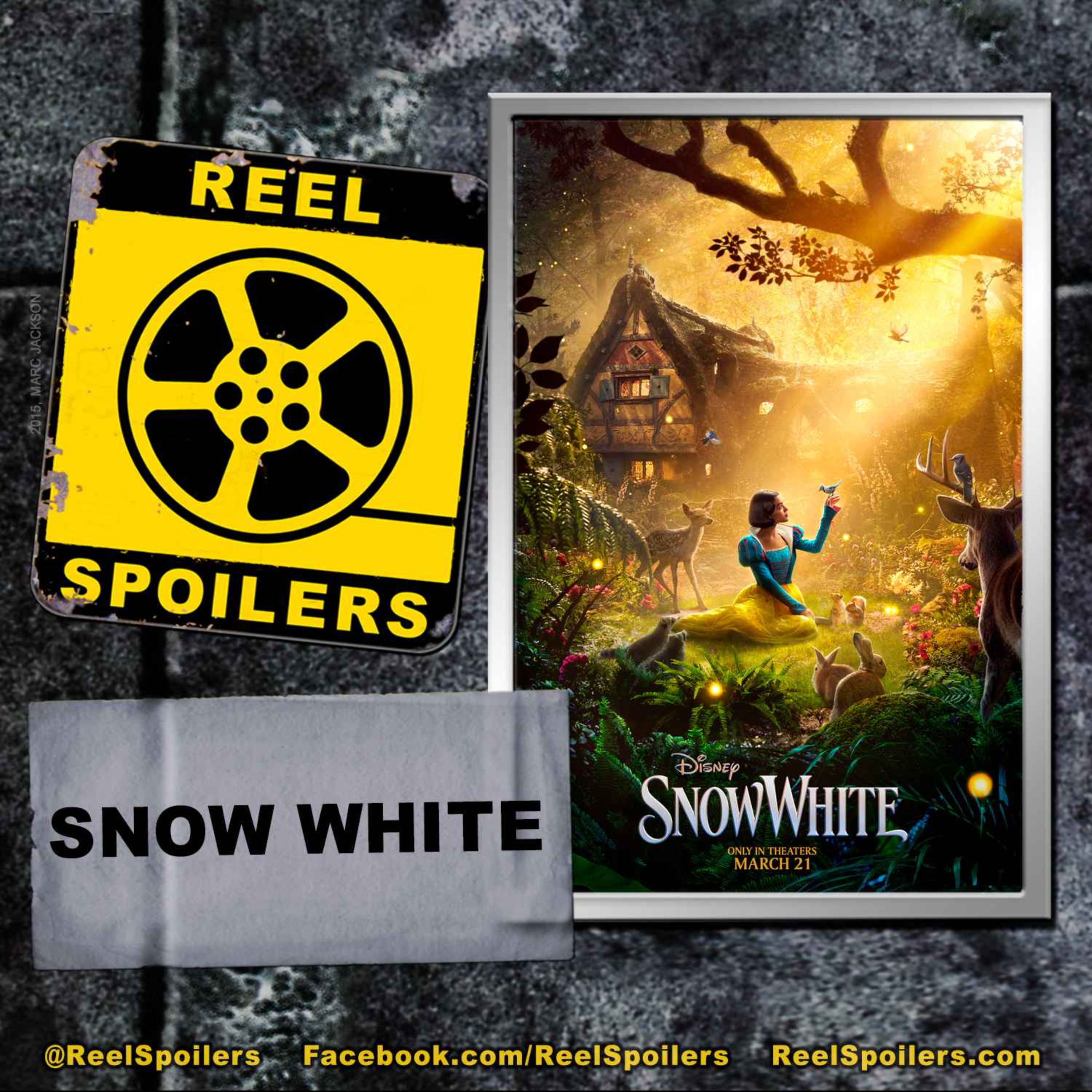 Reel Spoilers - Movie Reviews