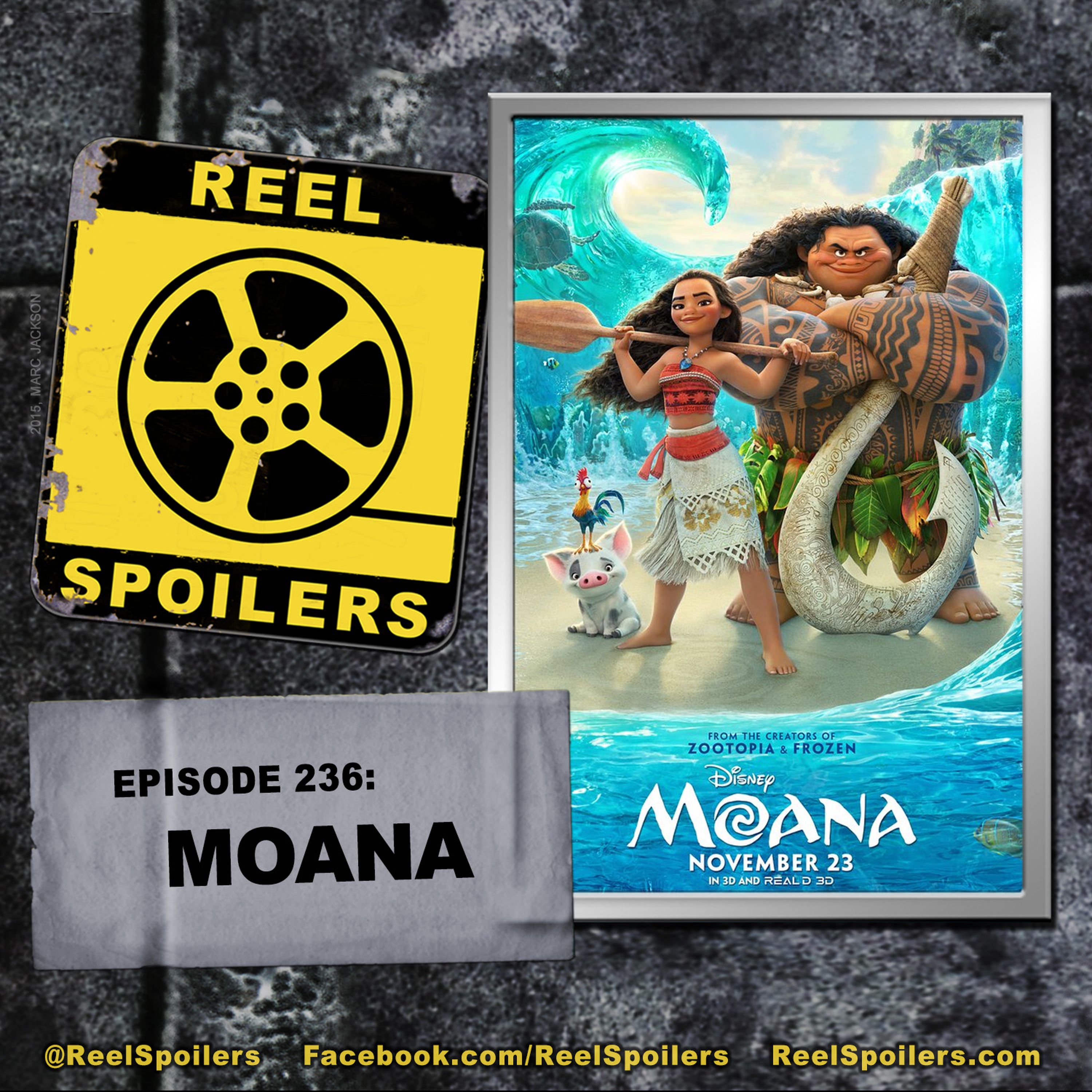 236: 'Moana' Starring Dwayne Johnson, Auli'i Cravelho Image