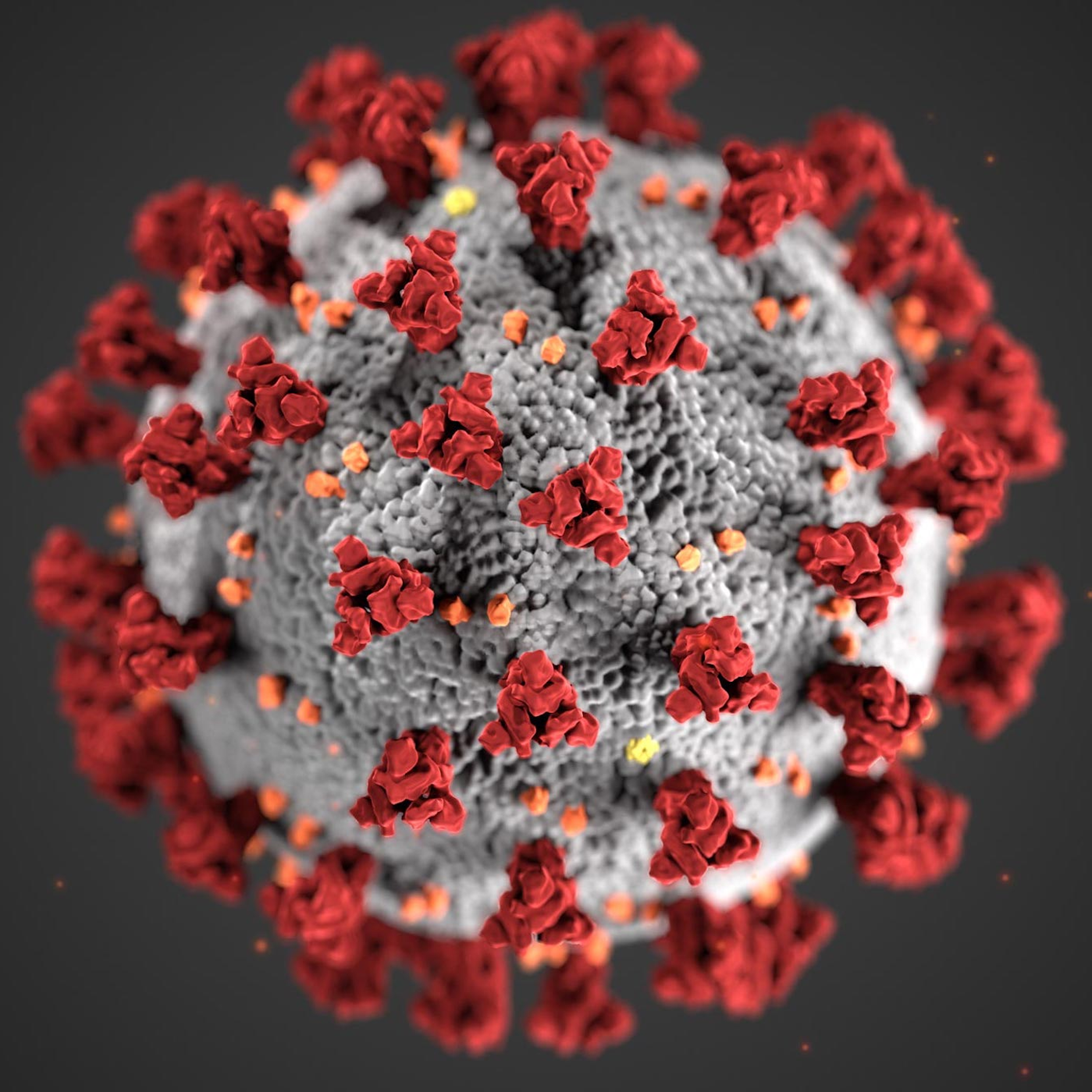 Ep: 4-99 The world declares war against the Coronavirus