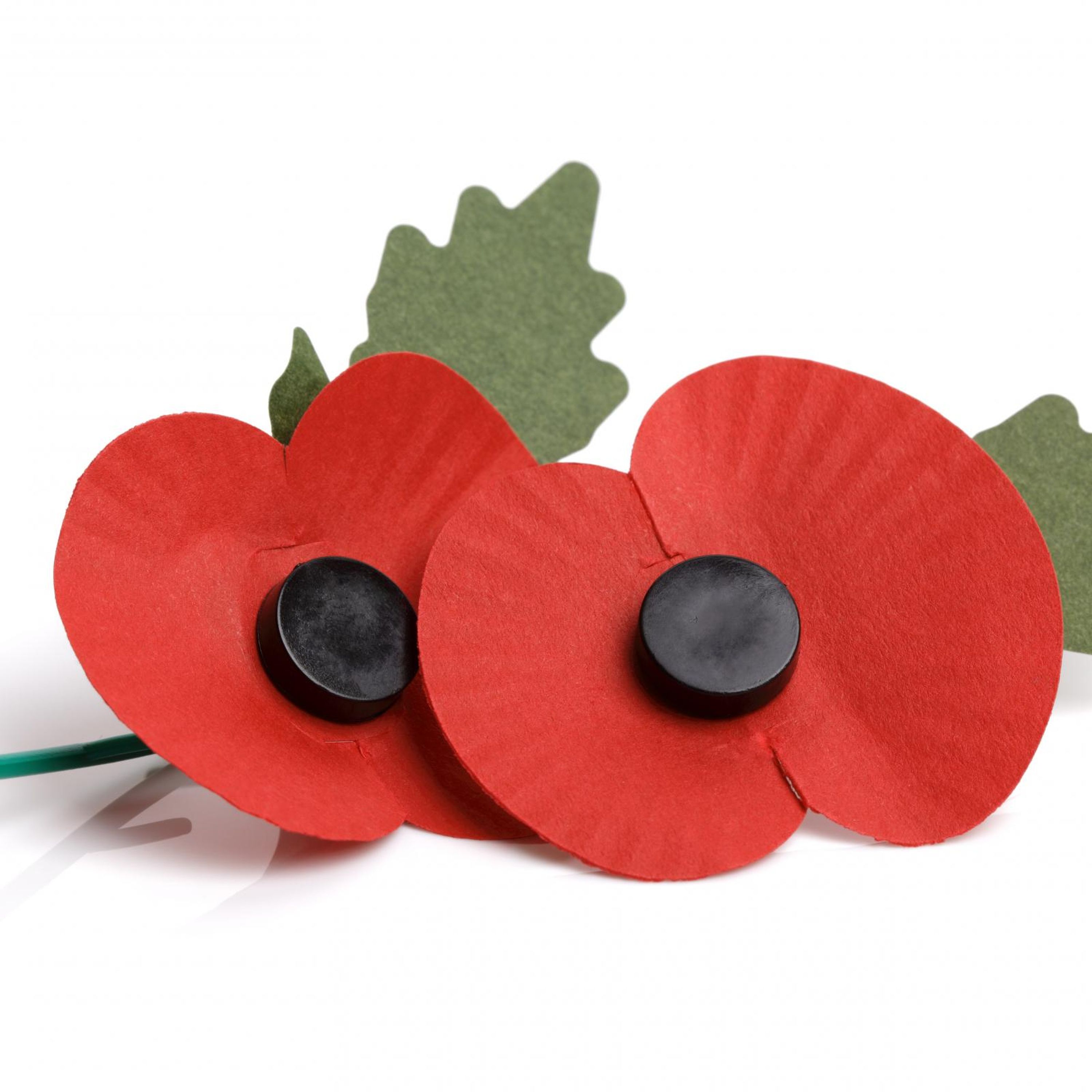 cover of episode Poppy Debate 2016