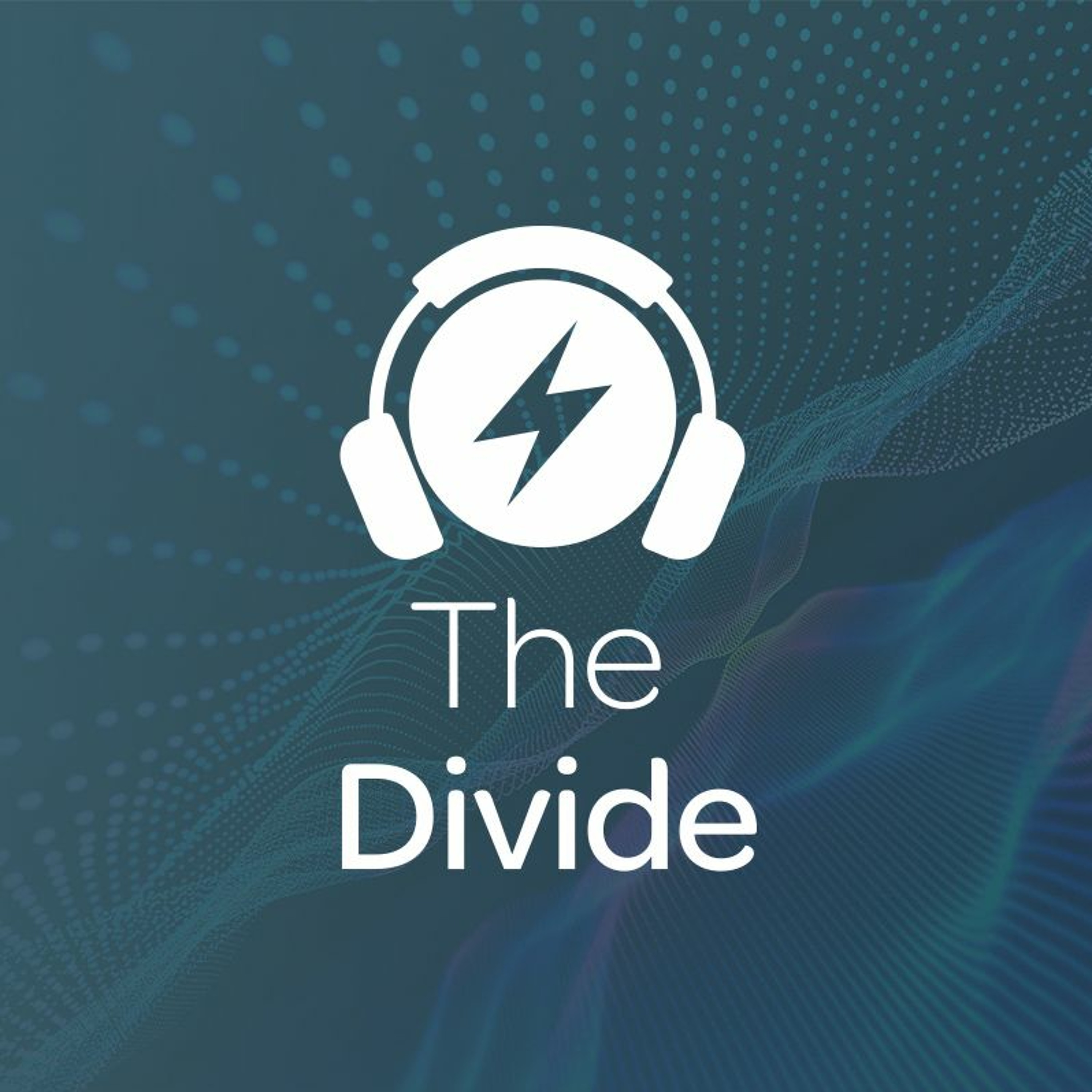 The Divide: Dr. Nicol Turner Lee on the 'digitally invisible'