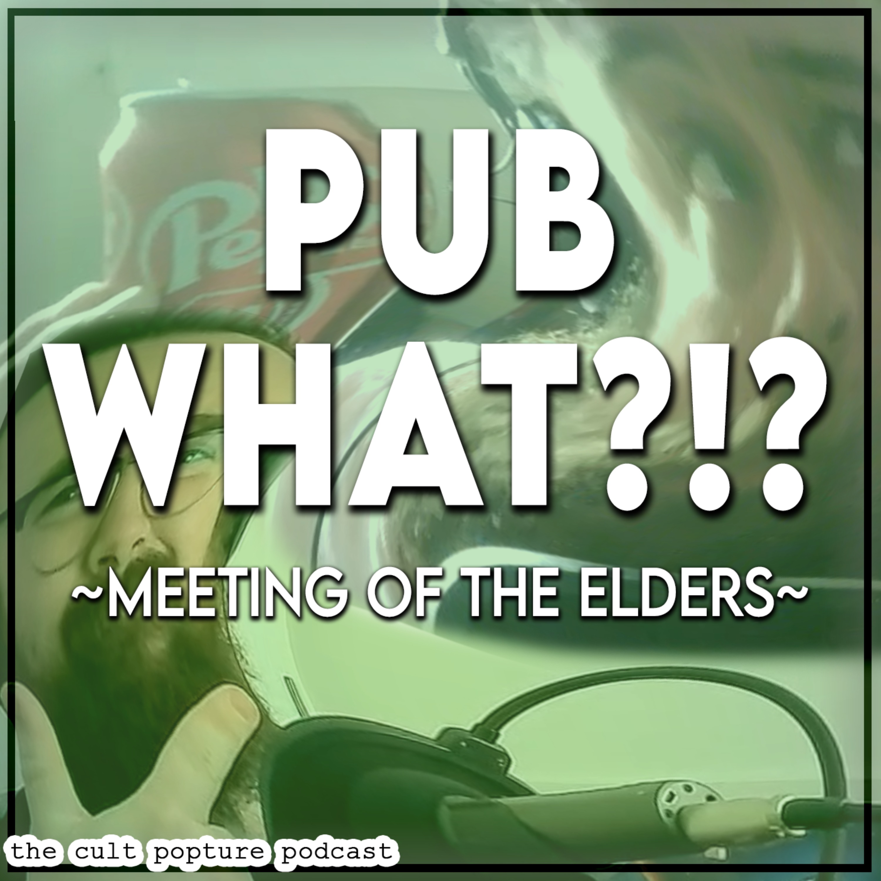 cover art for PUB WHAT?!? | Meeting of the Elders #10
