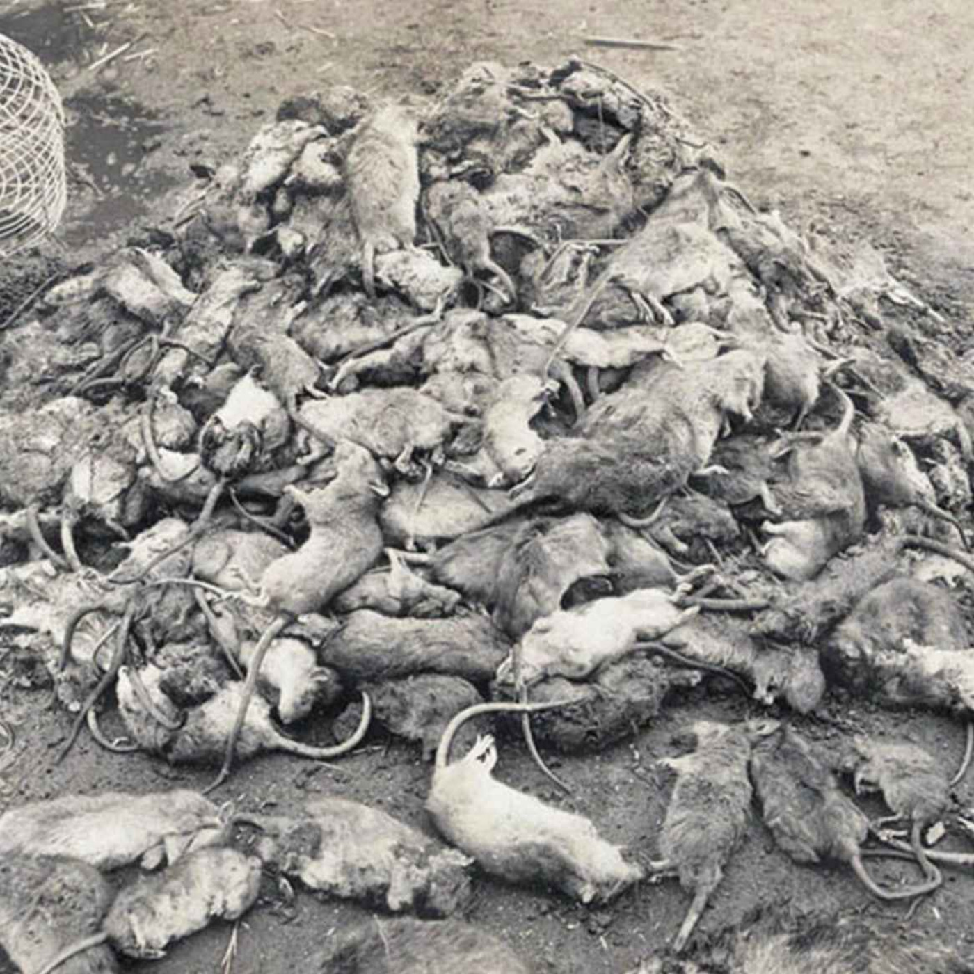 The Plague Returns — Part Two: Bigger Than Ben Hur