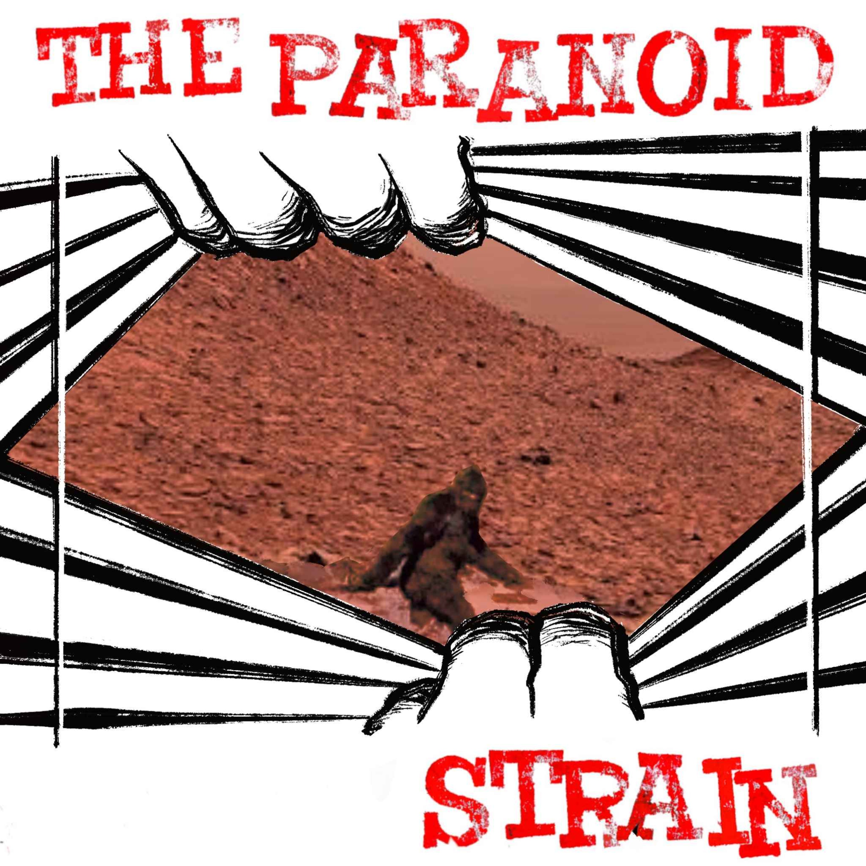 New! Unidentified--Diane Pasulka and the Bigfoot on Mars