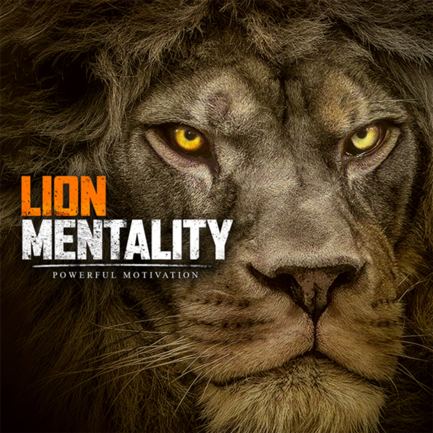 cover art for LION MENTALITY