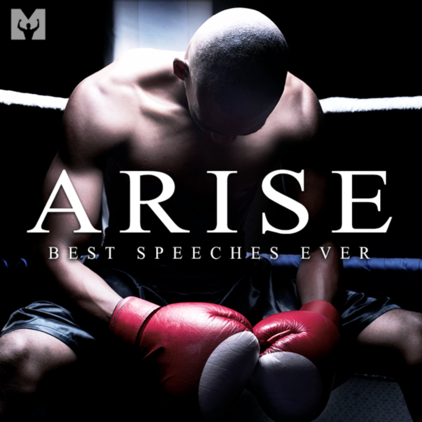 cover of episode Best Motivational Speech Compilation EVER #15 - ARISE