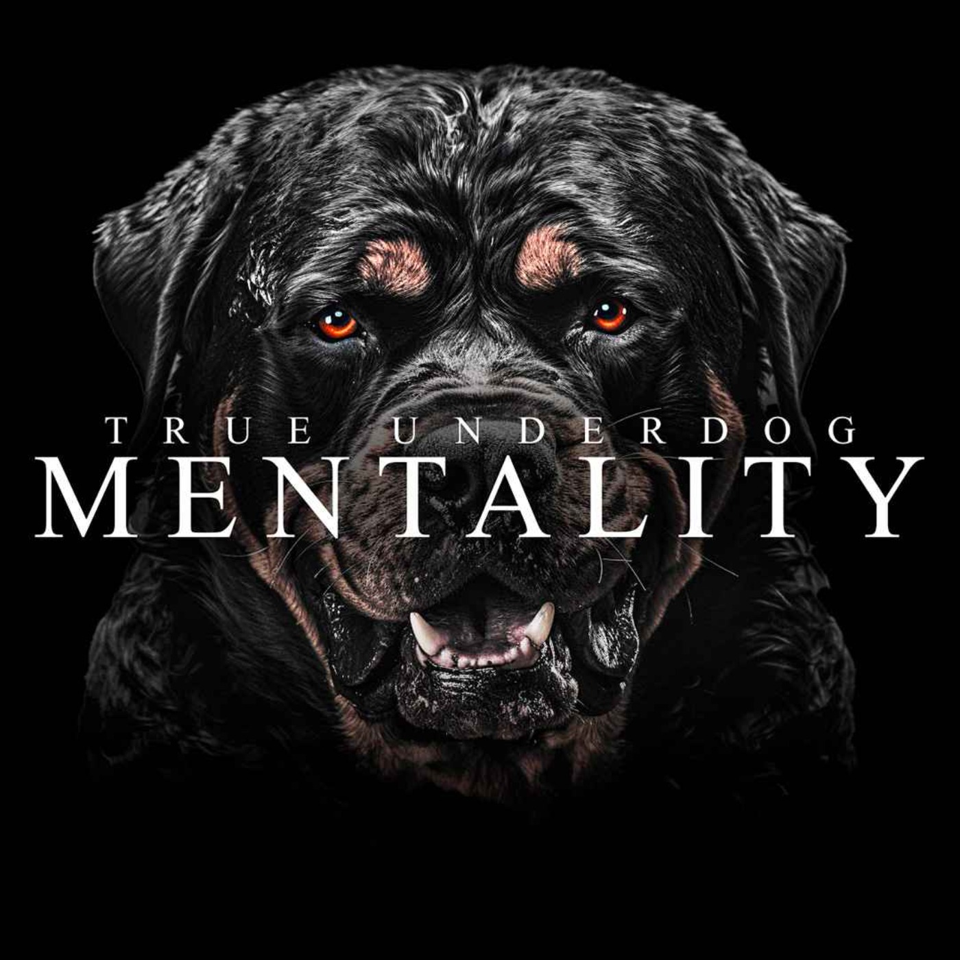 TRUE UNDERDOG MENTALITY - Best Motivational Speeches Compilation