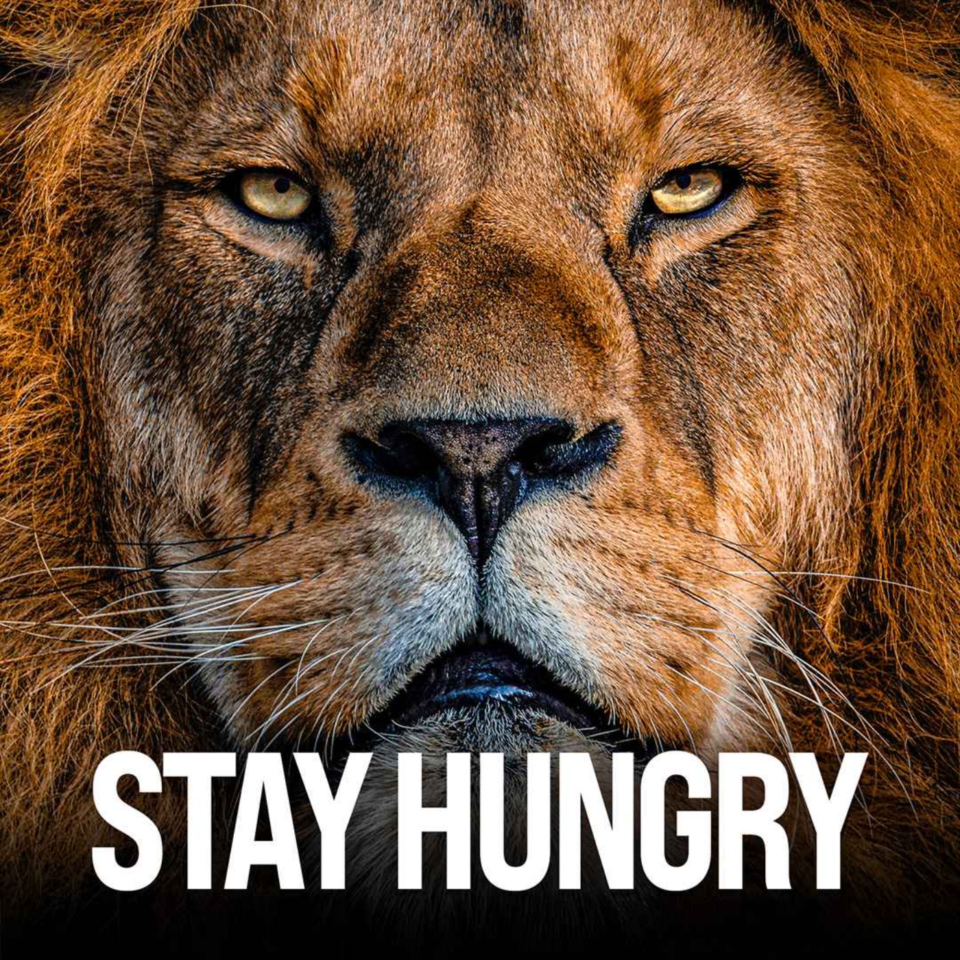 cover art for STAY HUNGRY - The Most Powerful Motivational Speech (ft. Eric Thomas and Marcus Taylor)