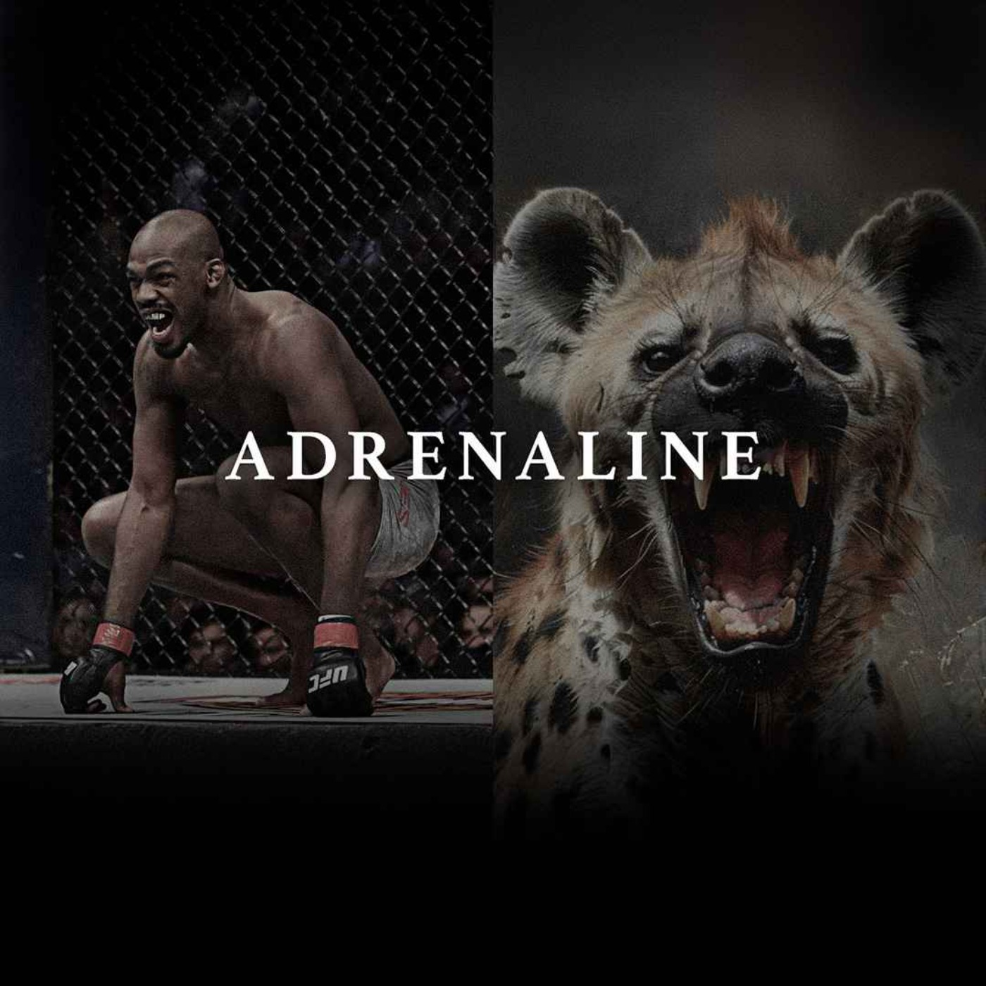 ADRENALINE - Best Motivational Speeches - podcast episode cover