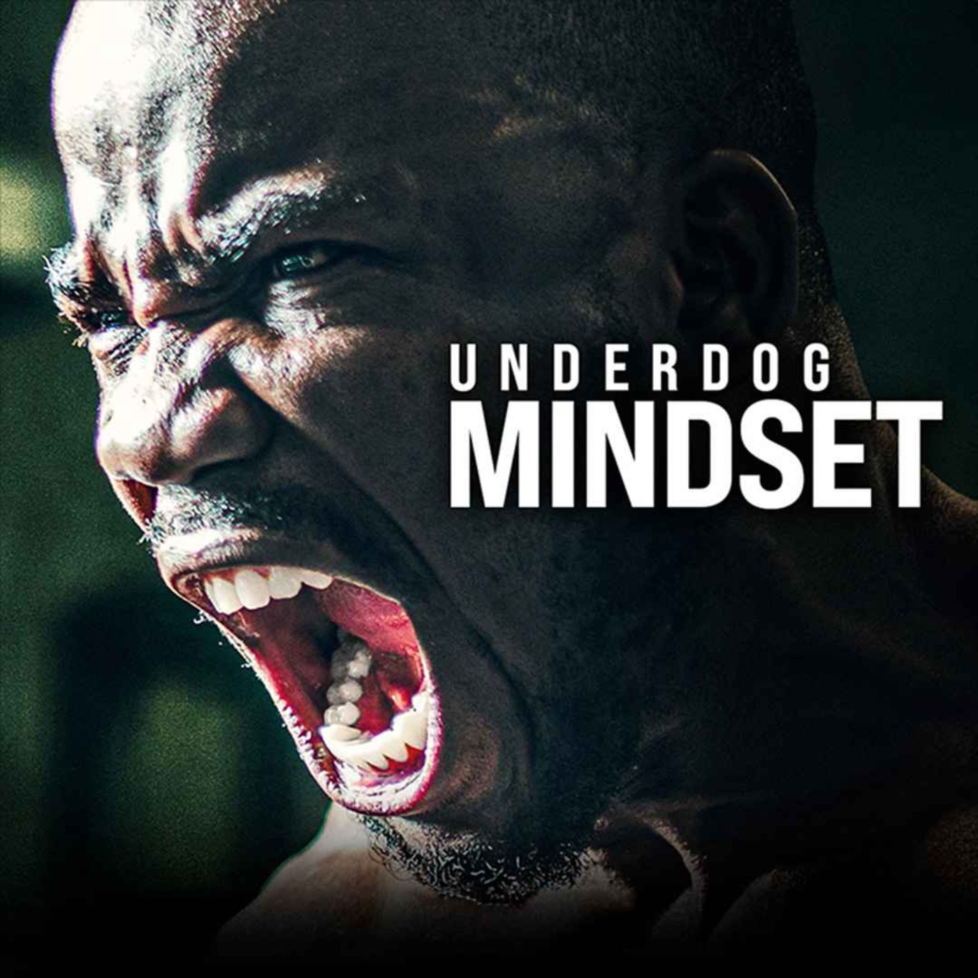 UNDERDOG MINDSET - The Most POWERFUL Motivational Speech