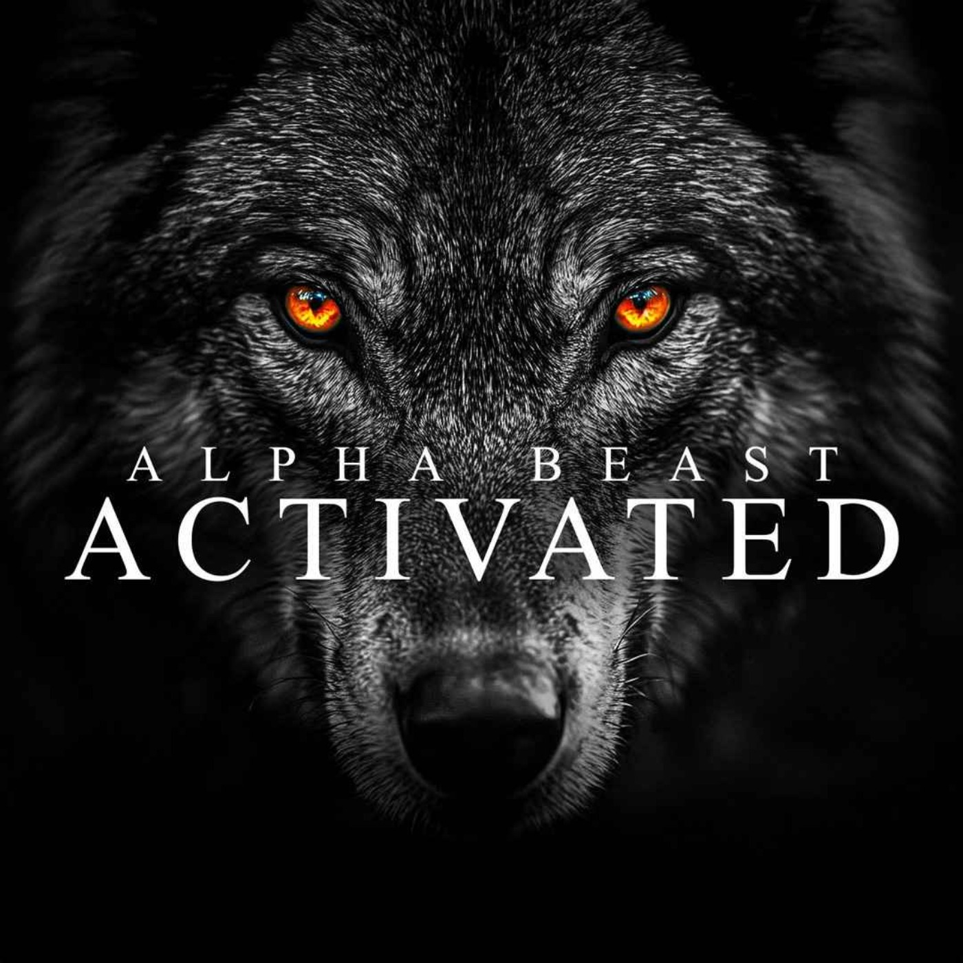 ACTIVATE YOUR INNER ALPHA - Best Motivational Speech Compilation - FOUR HOURS - podcast episode cover