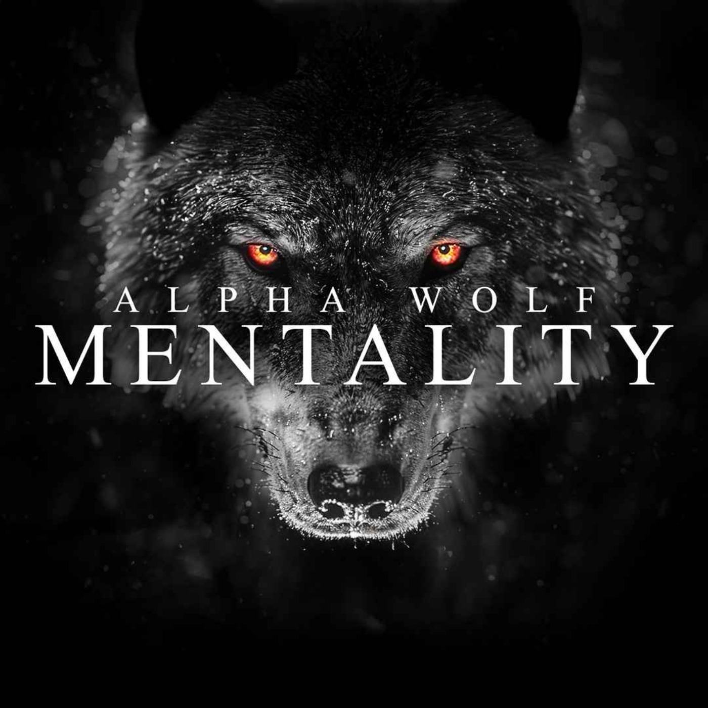 ALPHA WOLF MENTALITY - Best 2025 Motivational Speeches Compilation - podcast episode cover