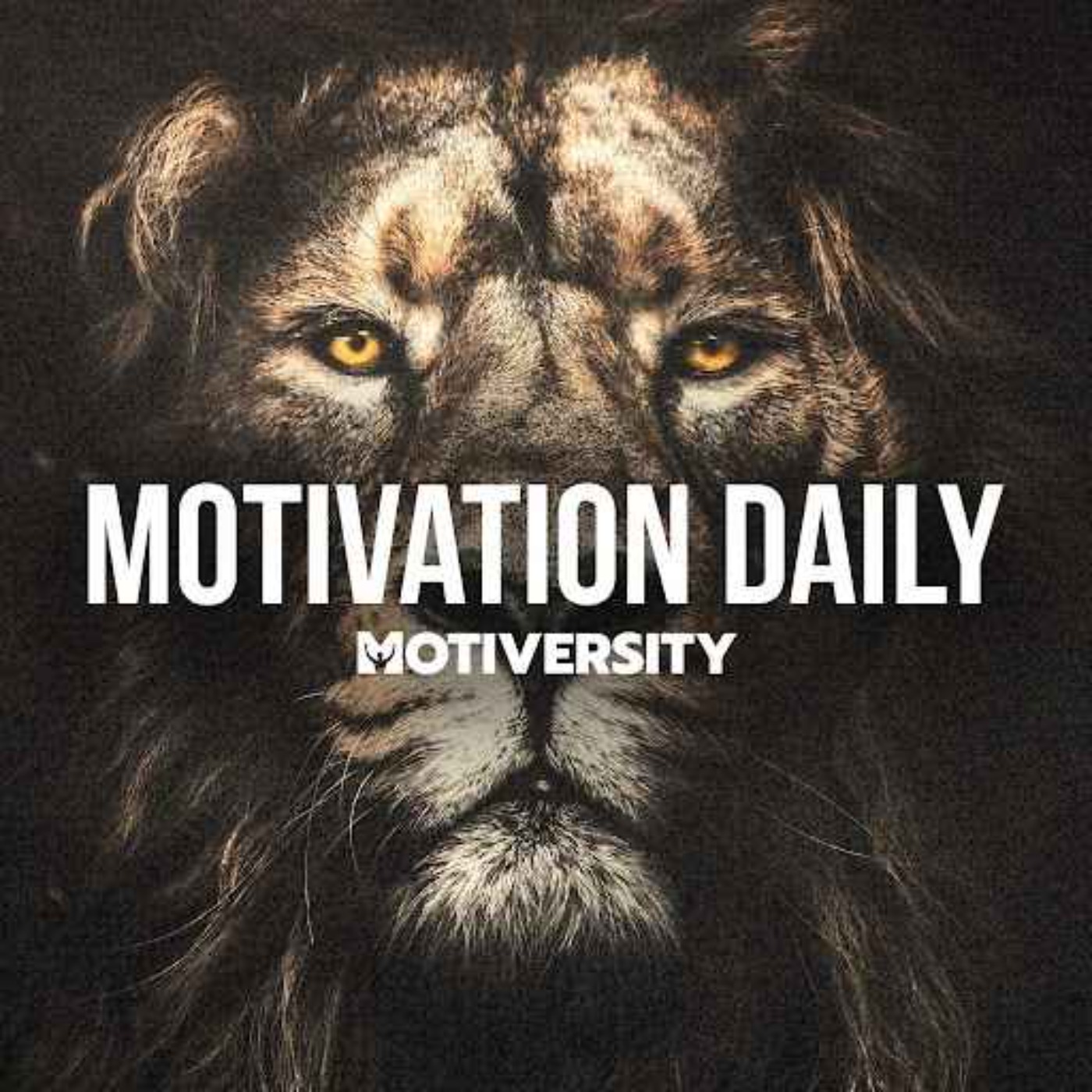 END LAZINESS - Powerful Motivational Speech (Featuring Coach Pain)