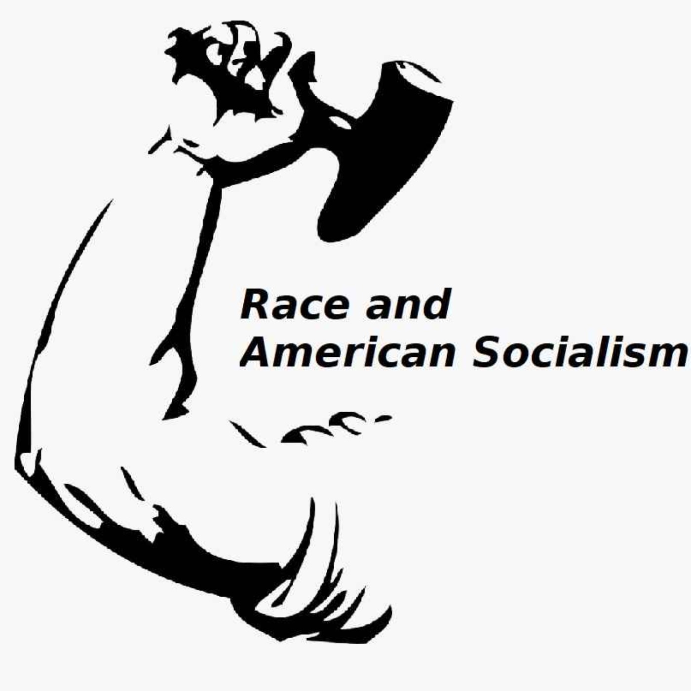 cover art for Race and American Socialism