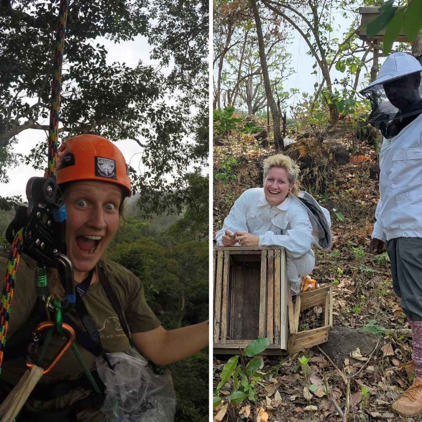 Feldforschung im Ausnahmezustand – Biologie zwischen Regenwald und Krisen in Sierra Leone, Brasilien und Ghana | Ricarda Wistuba | WW448