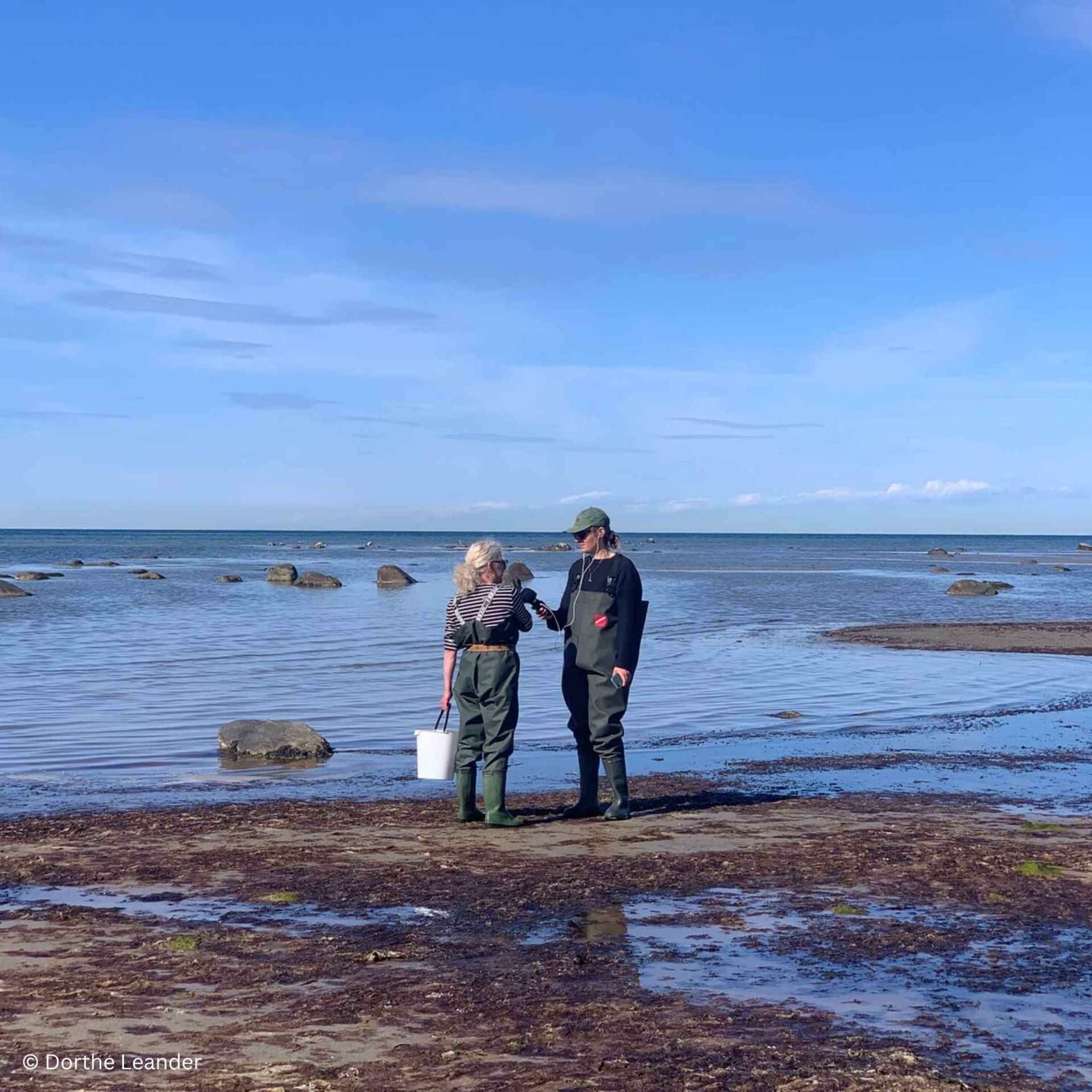 WW435: Von Salzsiedern, Seegrasdächern und starken Frauen – unterwegs auf der dänischen Insel Læsø mit Miriam Menz WW435: Von Salzsiedern, Seegrasdächern und starken Frauen – unterwegs auf der dänischen Insel Læsø mit Miriam Menz