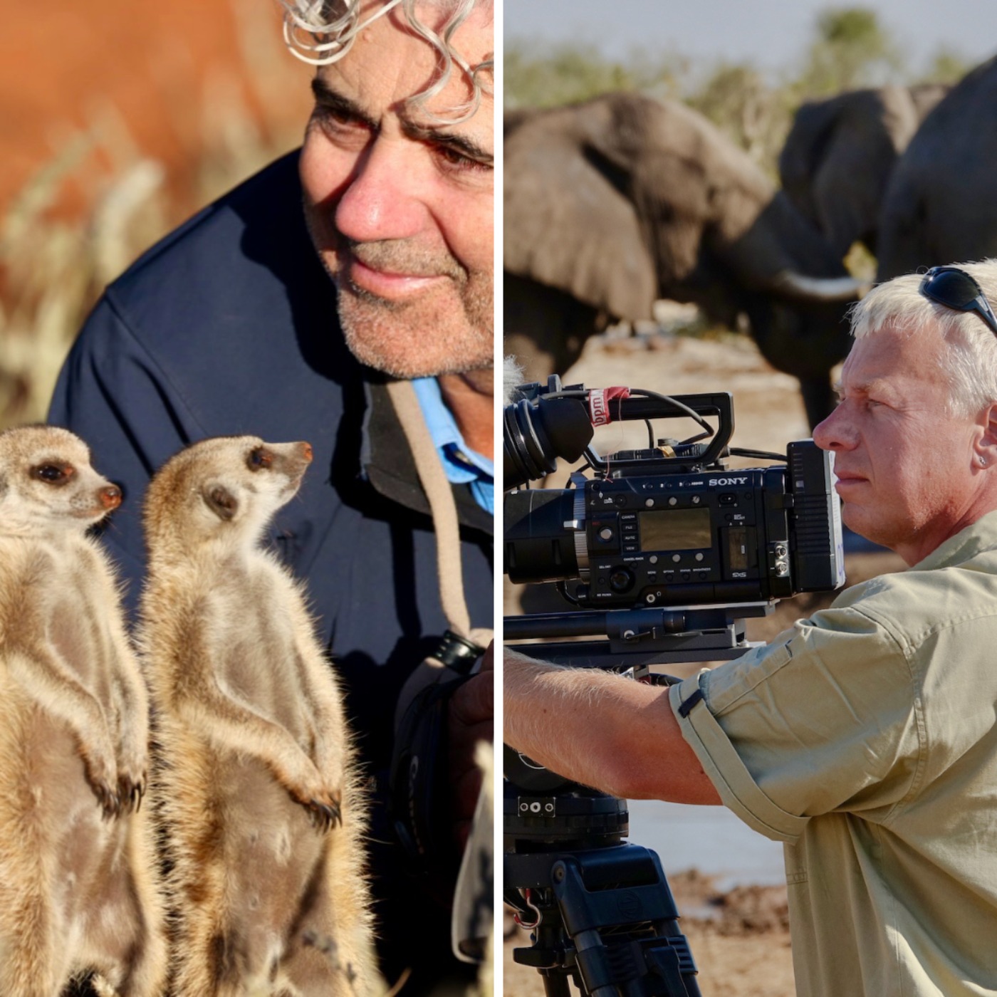 Namibia: zwischen Erdmännchen, Elefanten und Löwen – mit den Tierfilmern Jens Westphalen & Thoralf Grospitz | WW464