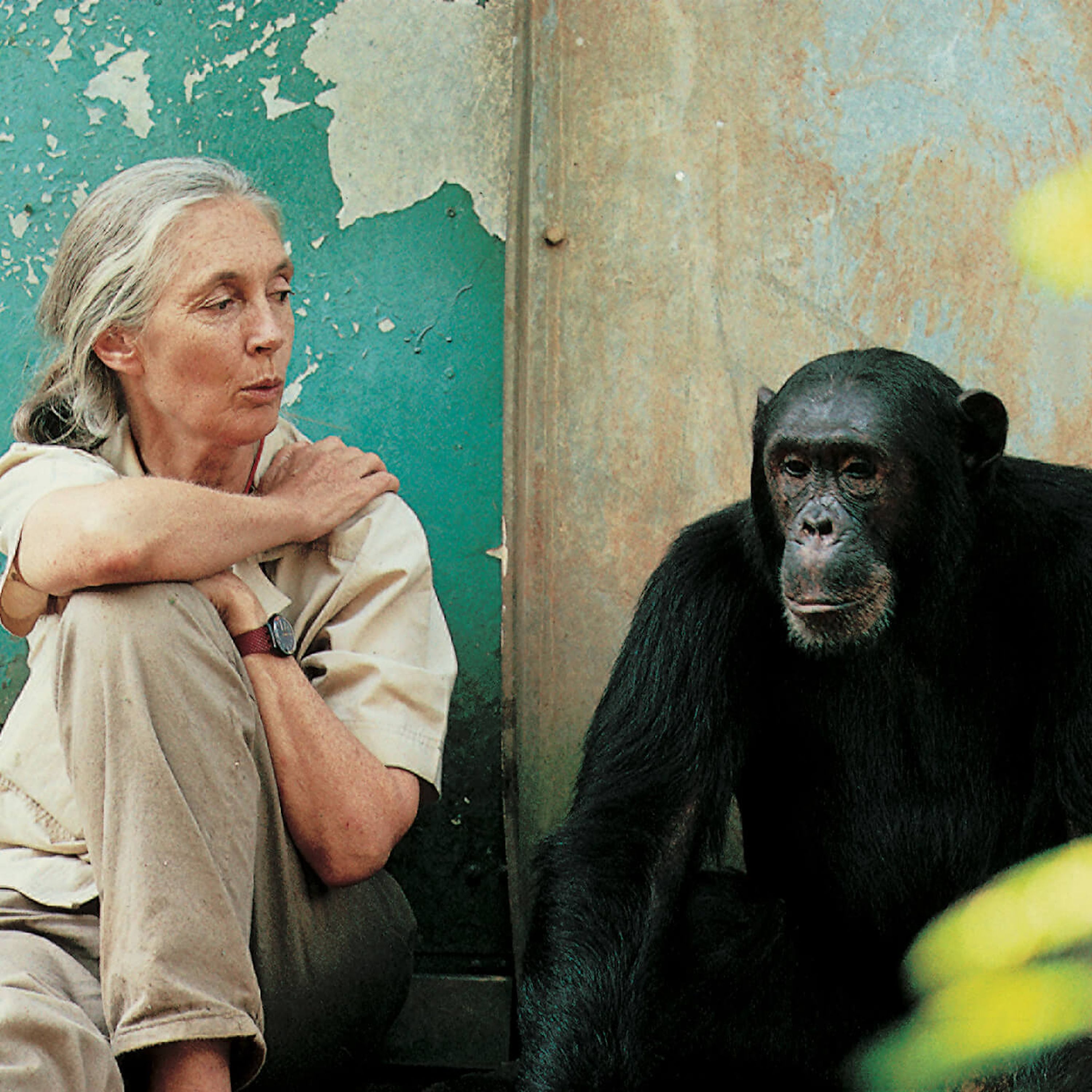 WW193: Hope for our Planet – with Dr. Jane Goodall