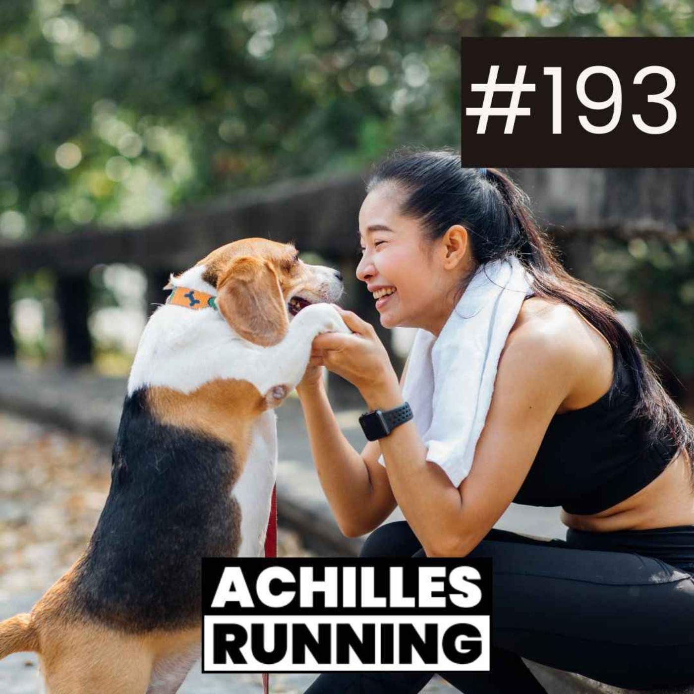 Tiere auf der Laufstrecke: So verhältst du dich richtig!