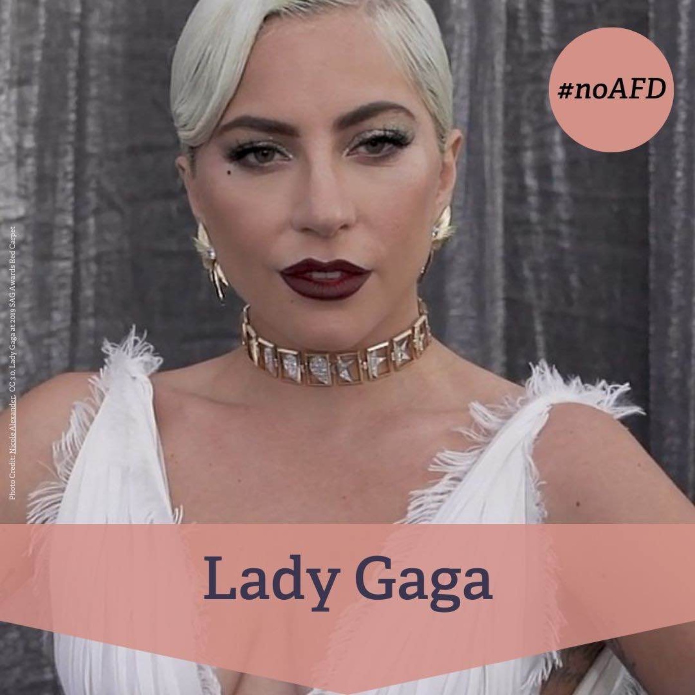 cover art for #213 Lady Gaga mit den Philosophiekomplizinnen