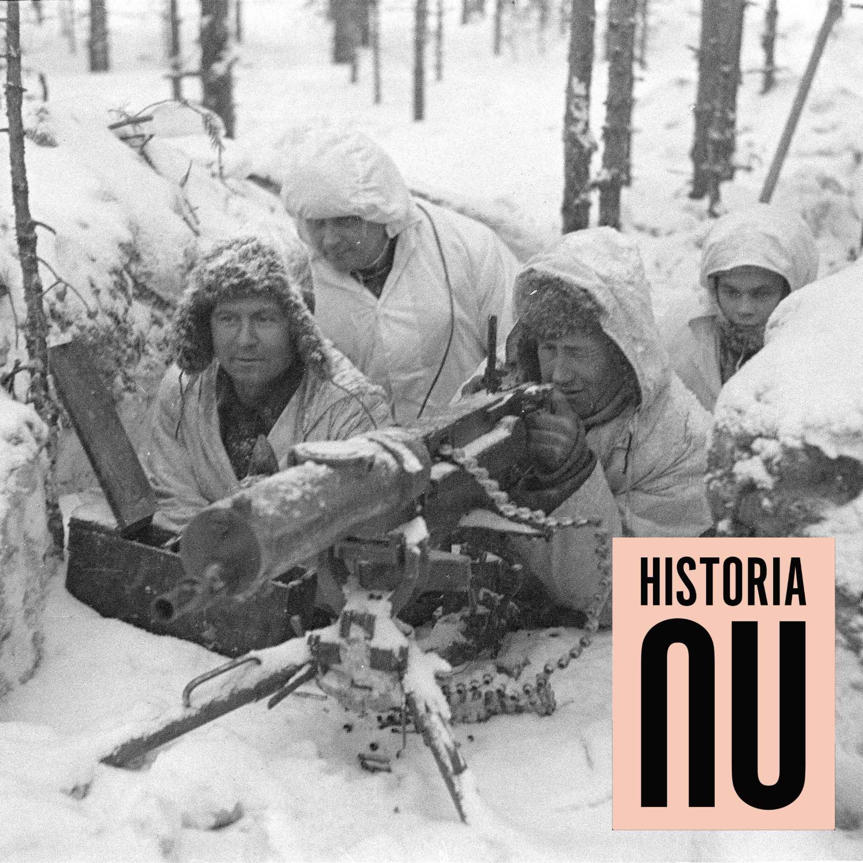 cover art for De finska soldaternas krigstrauman under andra världskriget