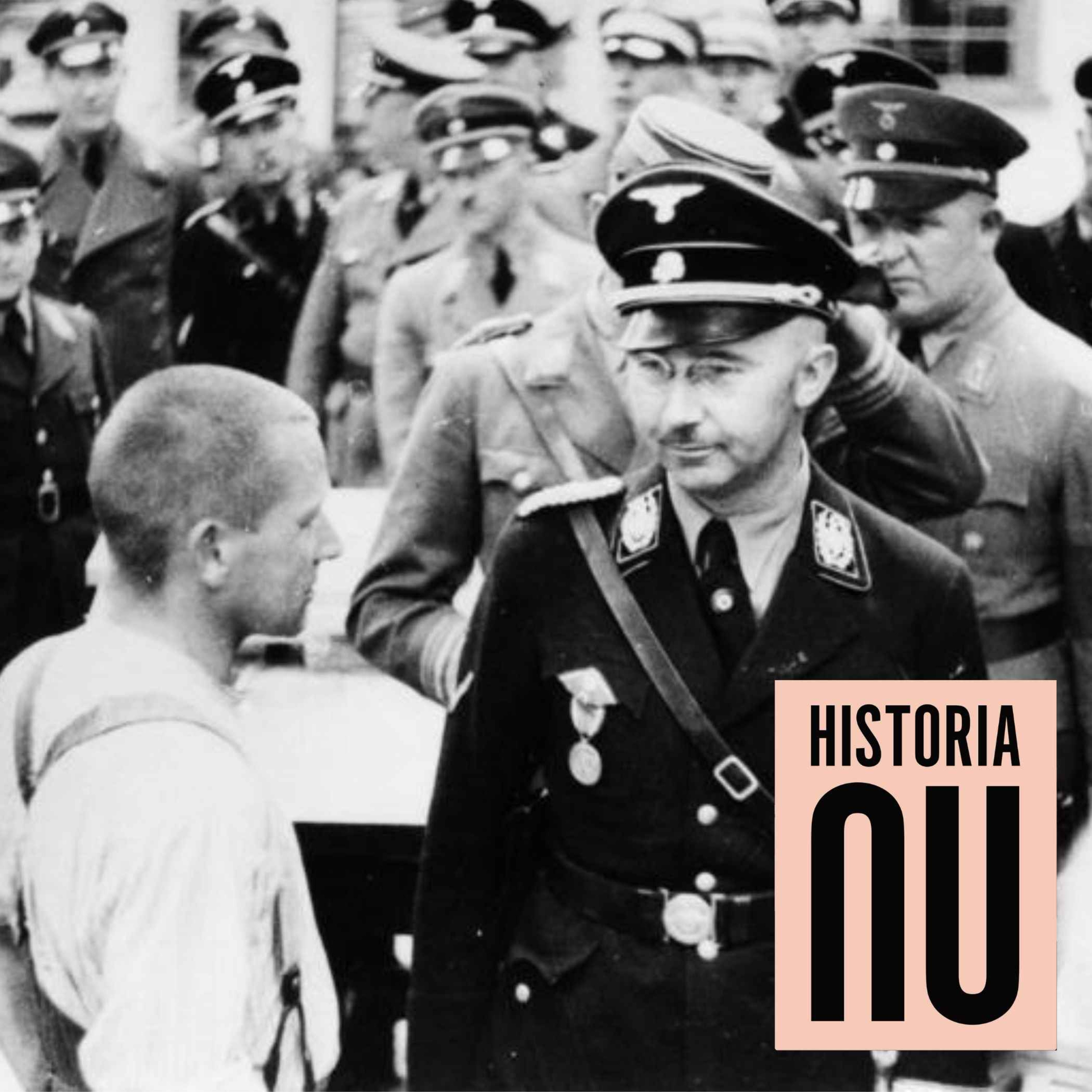 cover art for Heinrich Himmlers planer för Sverige