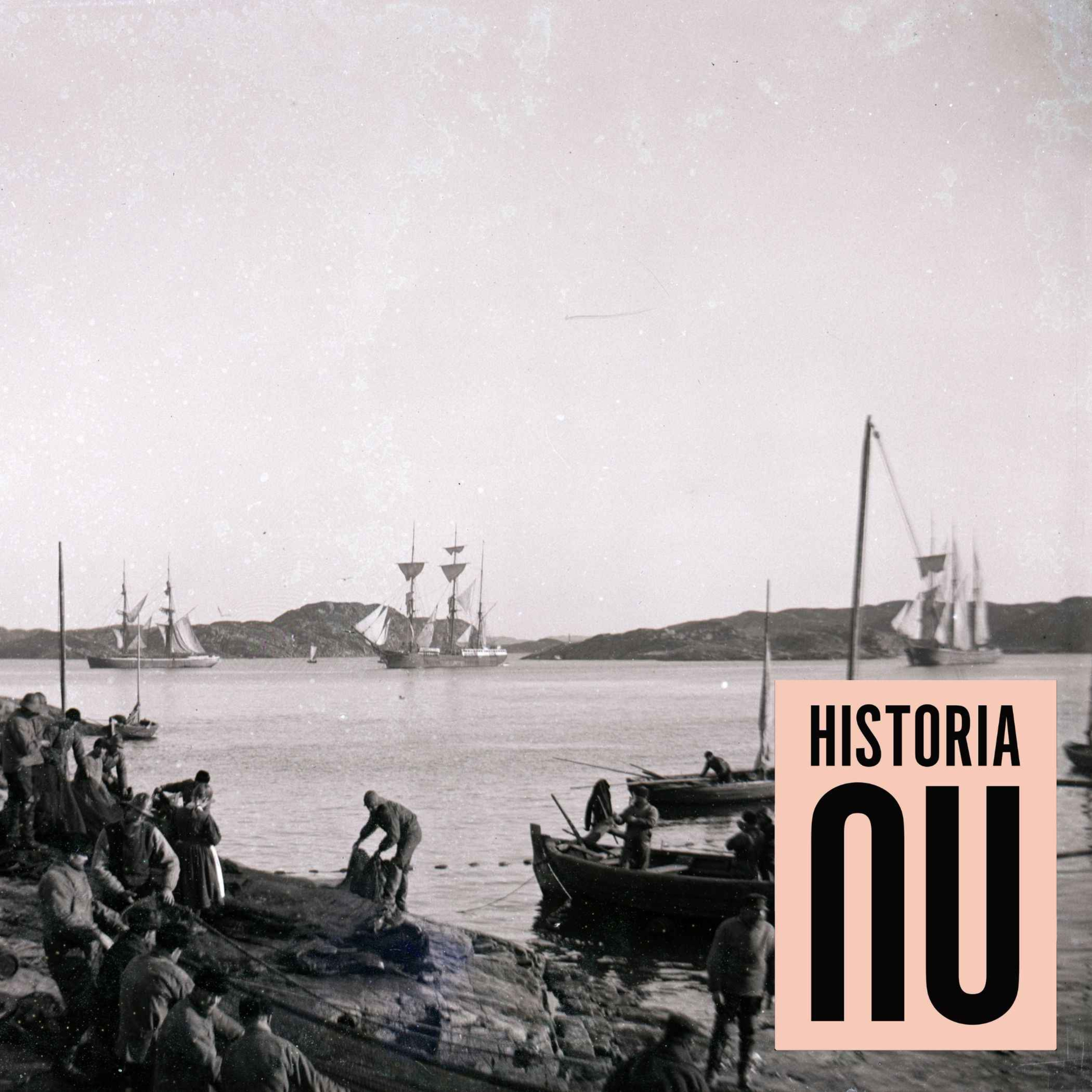 cover art for Det stora sillfisket: När sillen gick till i Bohuslän