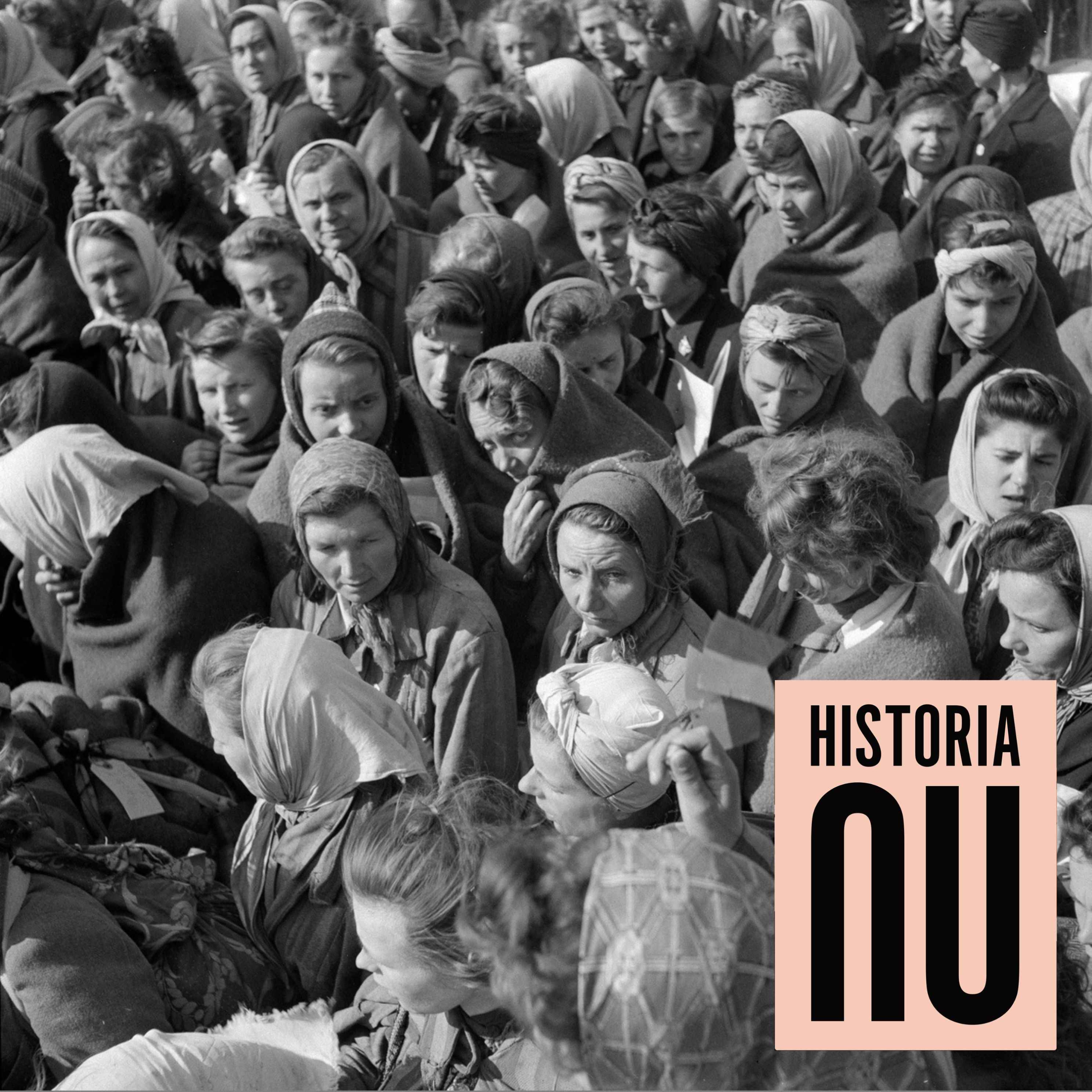 cover art for Sverige under andra världskriget: När historien vägrade vända
