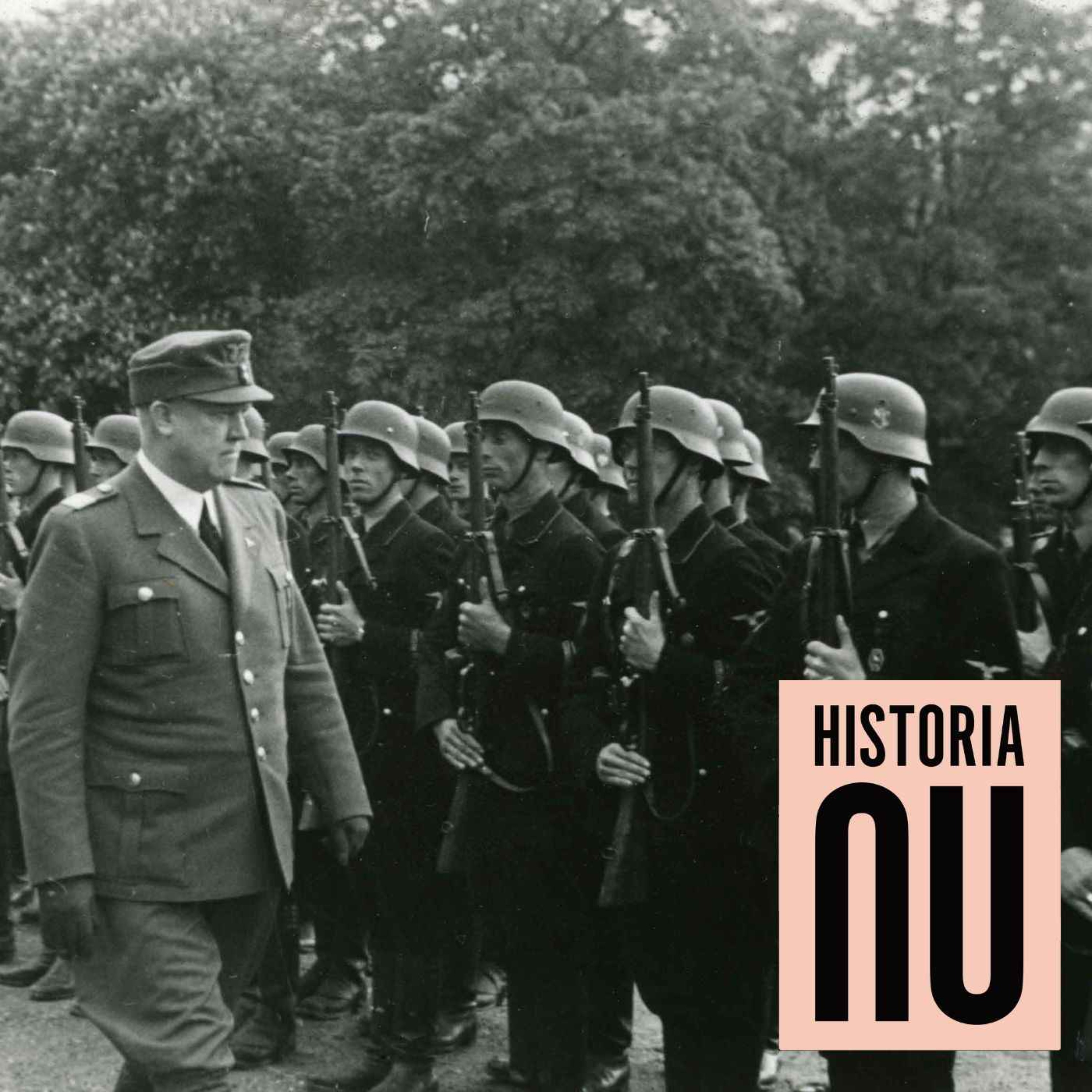 De nordiska frivilliga i Waffen-SS (premium)