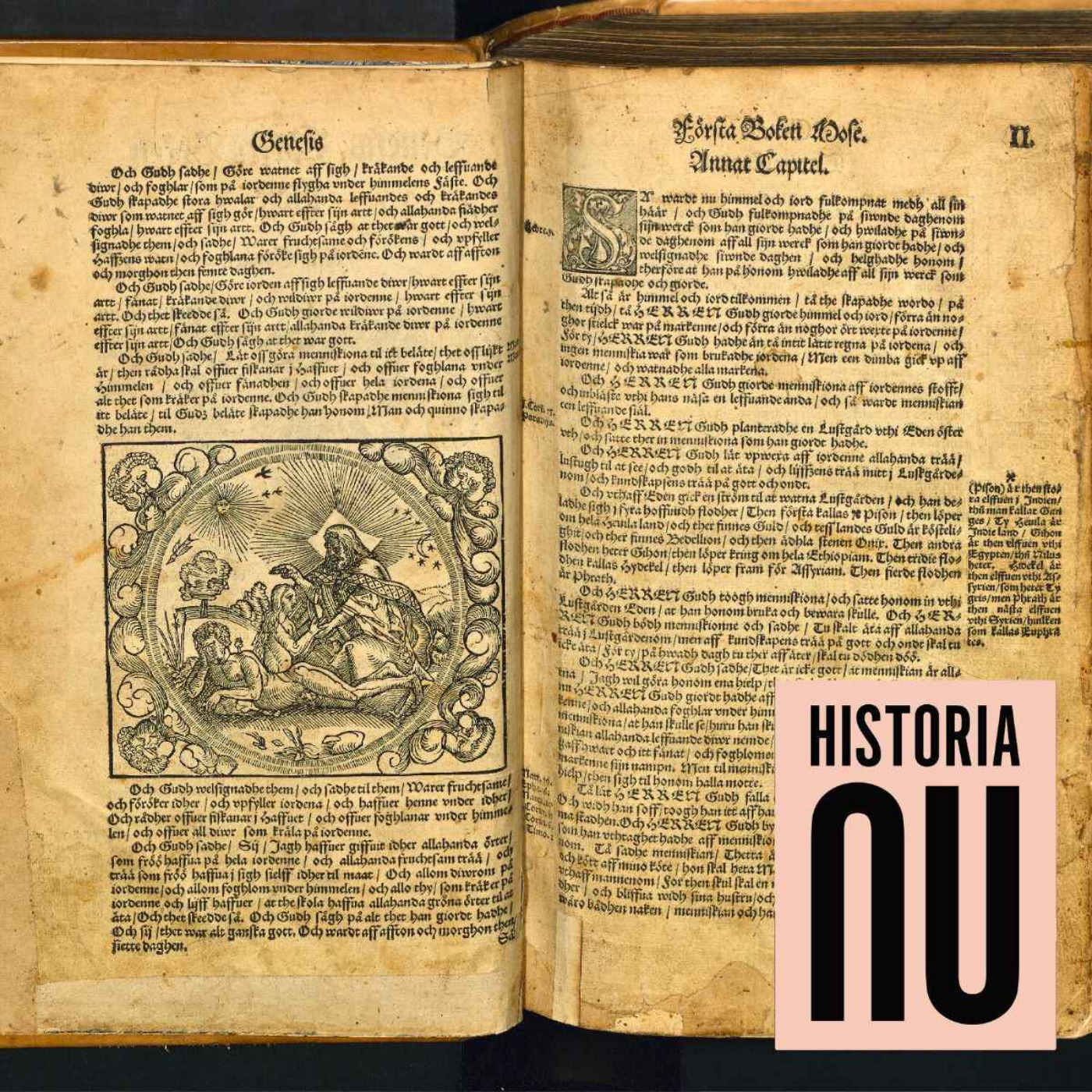 Svenska språket från runor till riksspråk