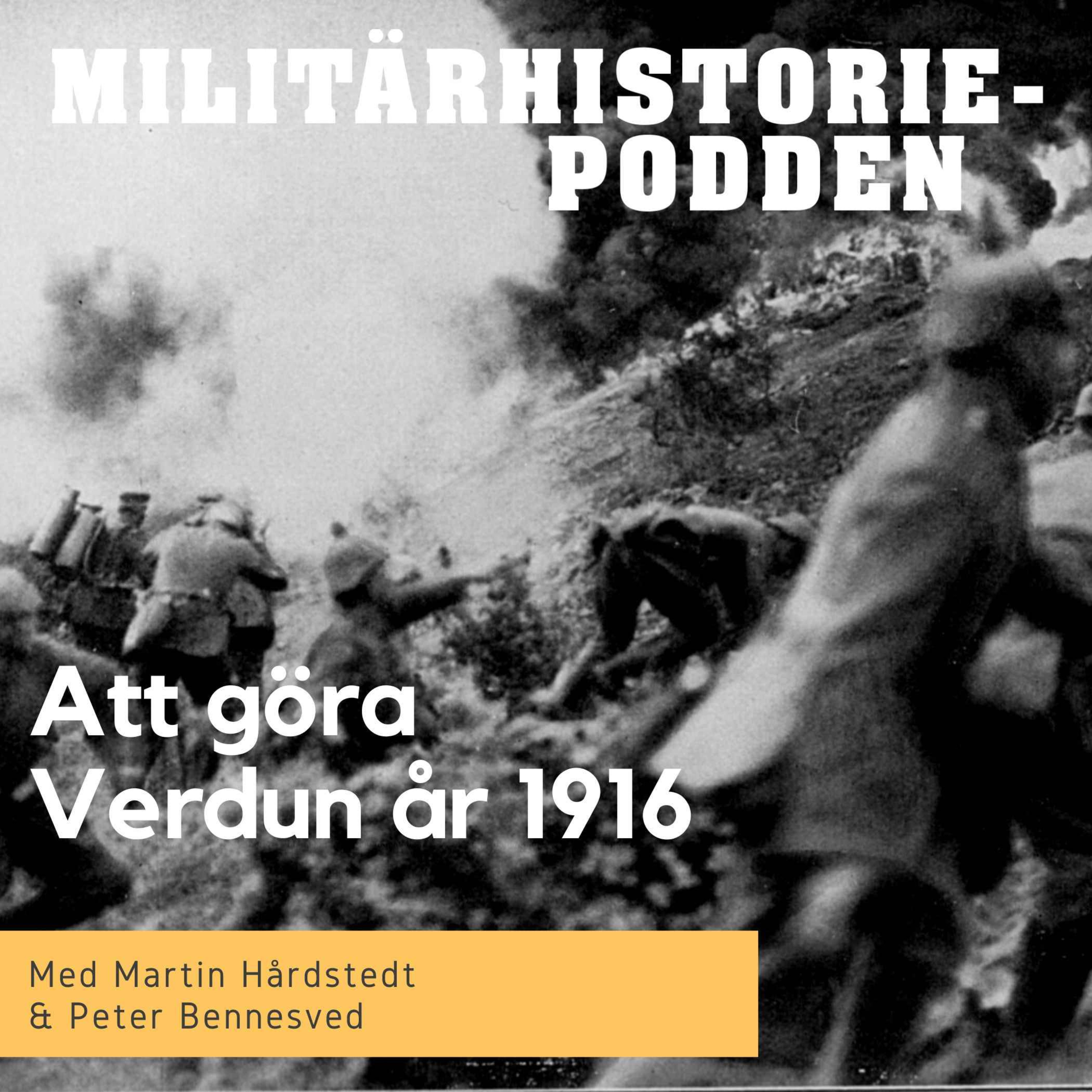 Verdun 1916  – tio månader av meningslös död och lidande (nymixad repris)