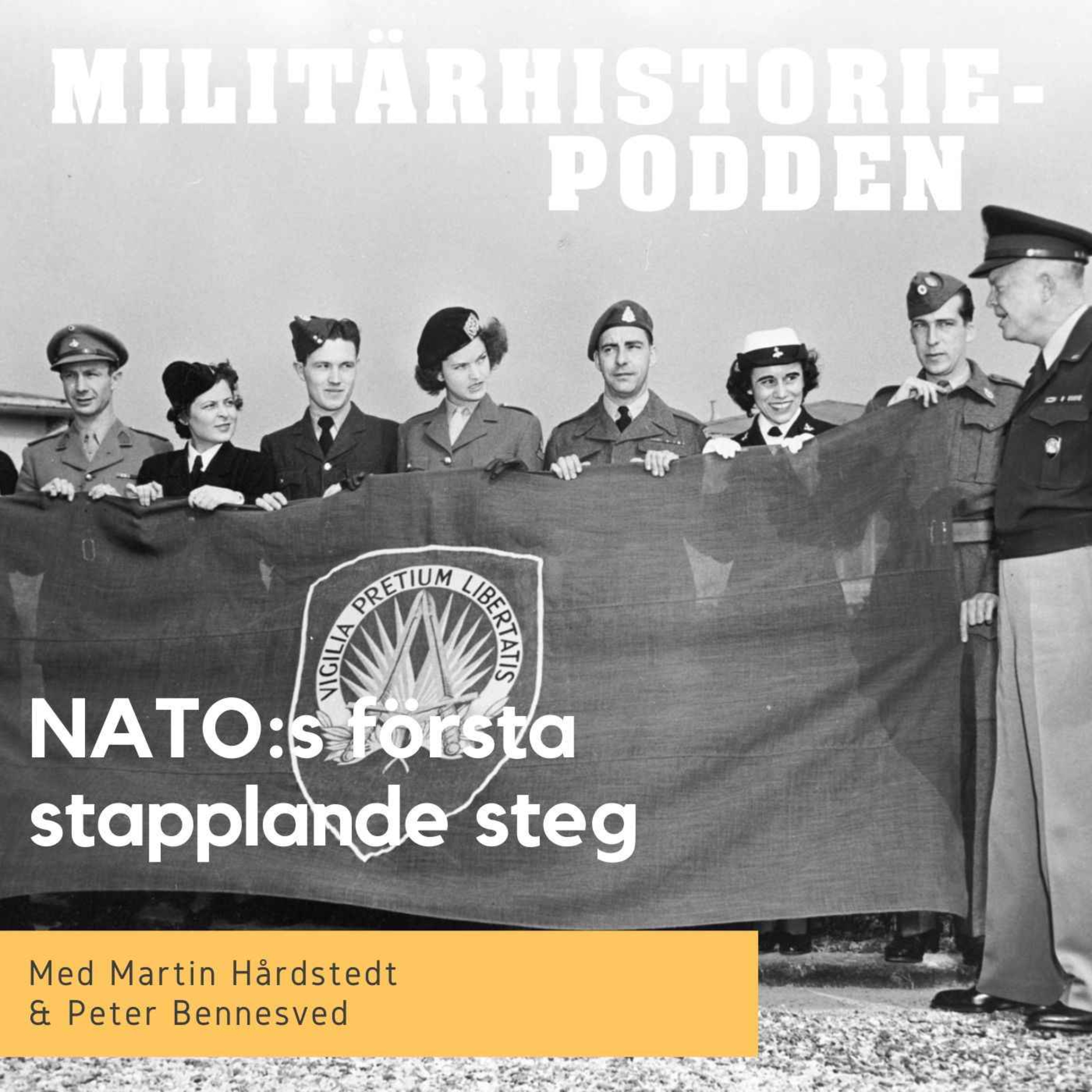cover art for Natos första stapplande år