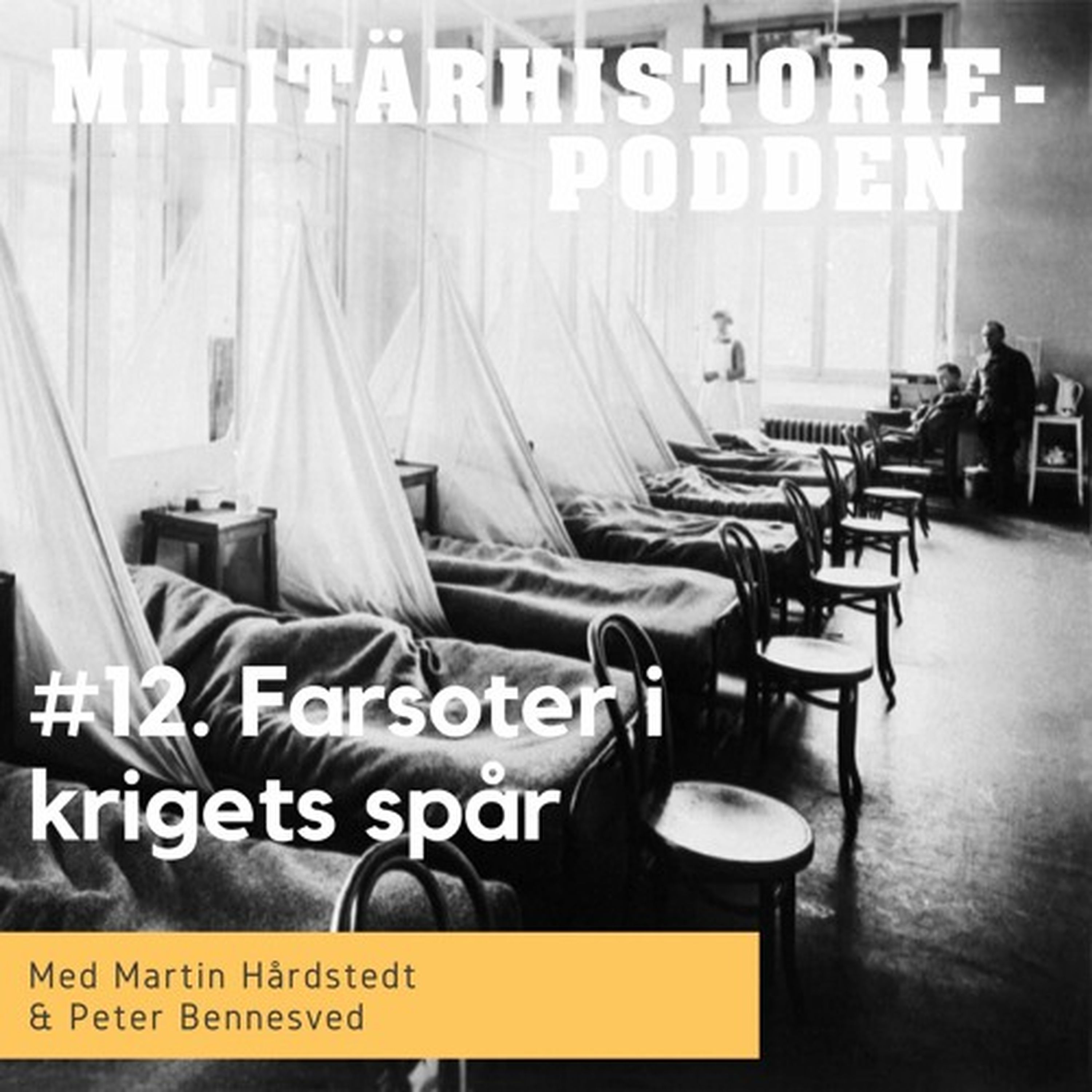 Smittor och farsoter i krigets spår