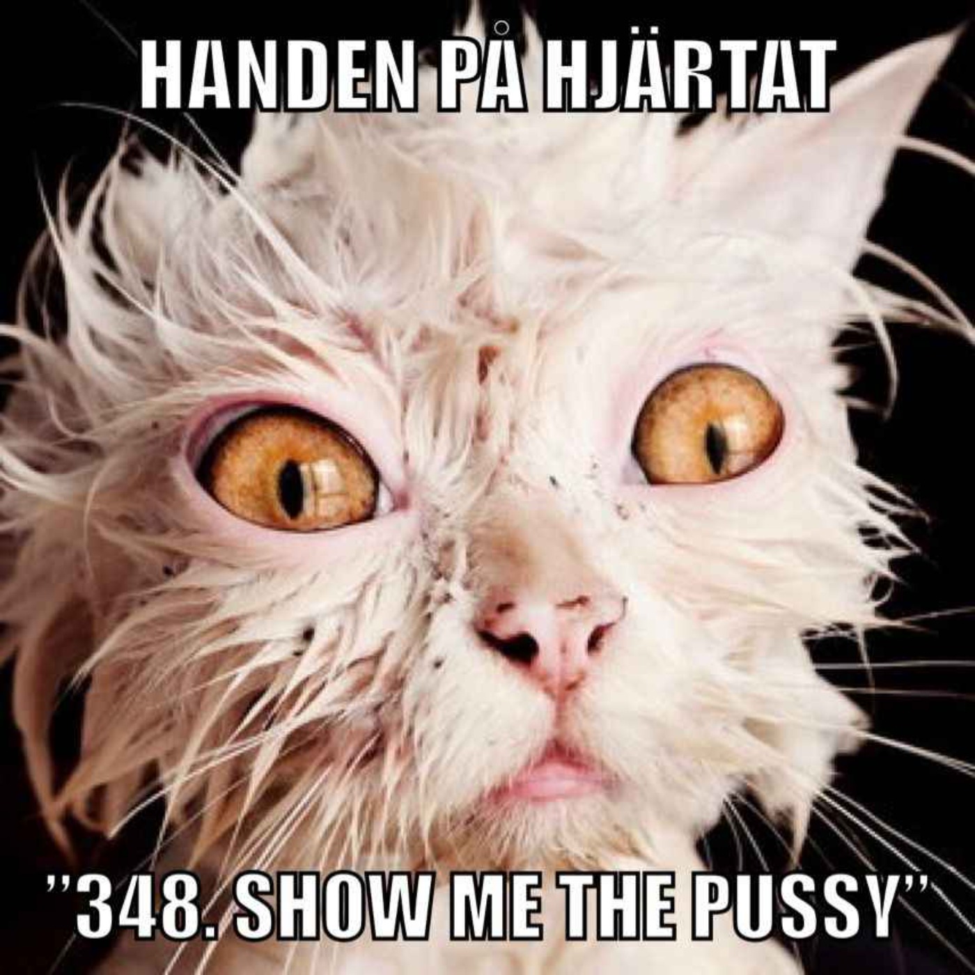 ”348. SHOW ME THE PUSSY”