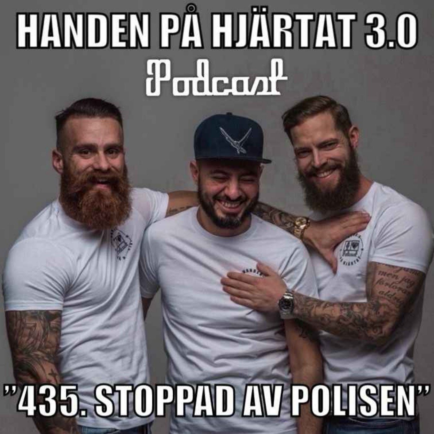 ”435. STOPPAD AV POLISEN”