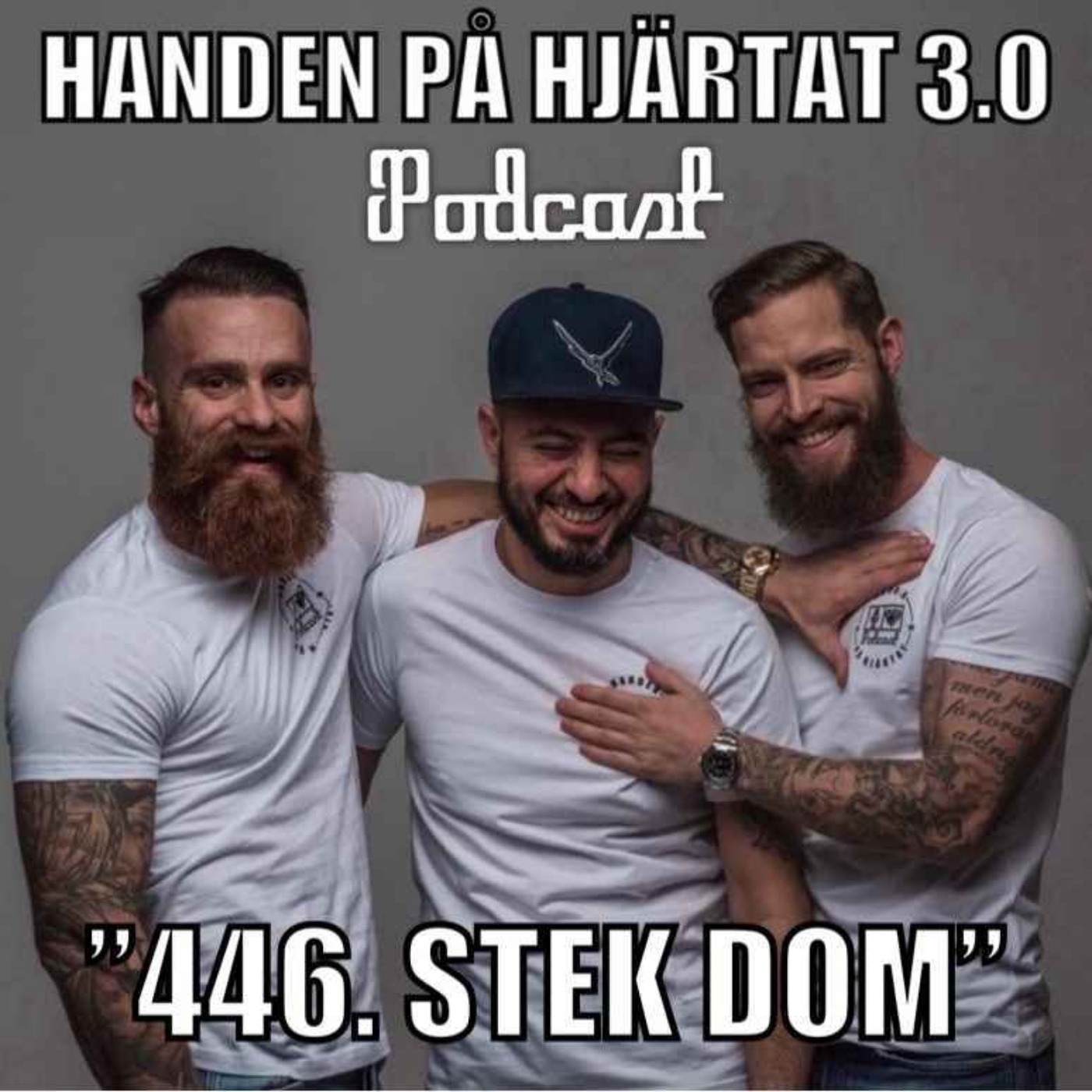 ”446. STEK DOM”