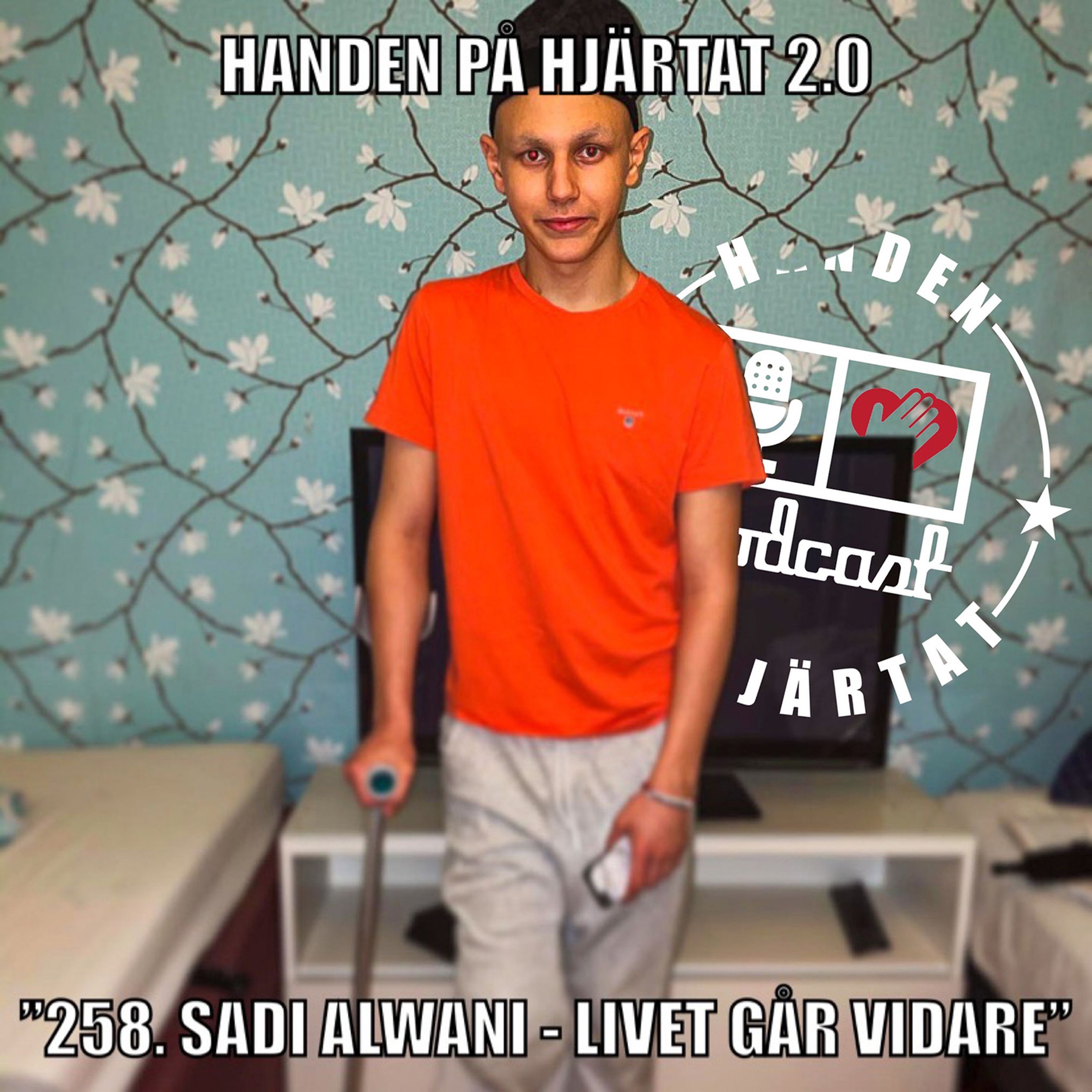 "258. Sadi Alwani - Livet går vidare"