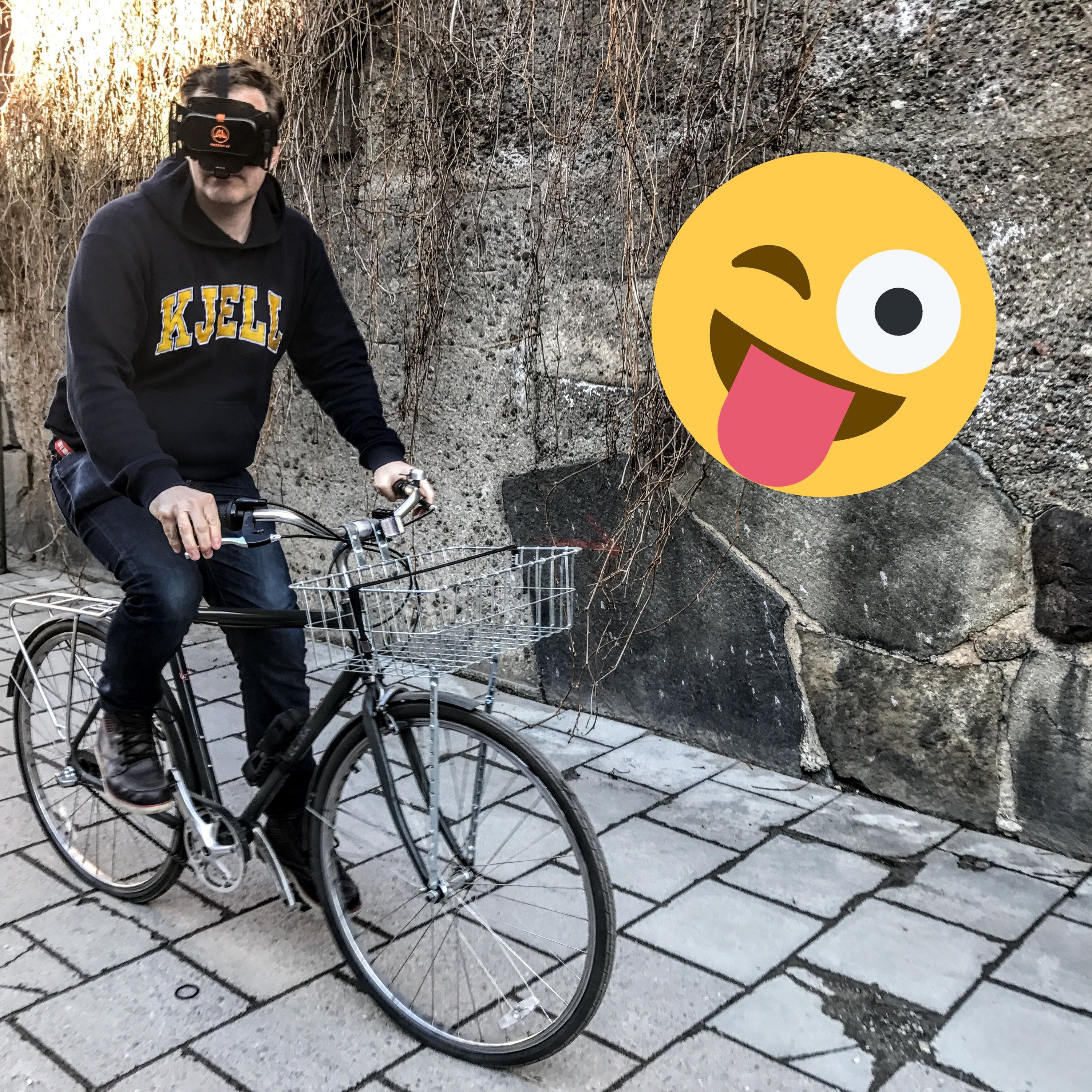 DIGITALISTERNA