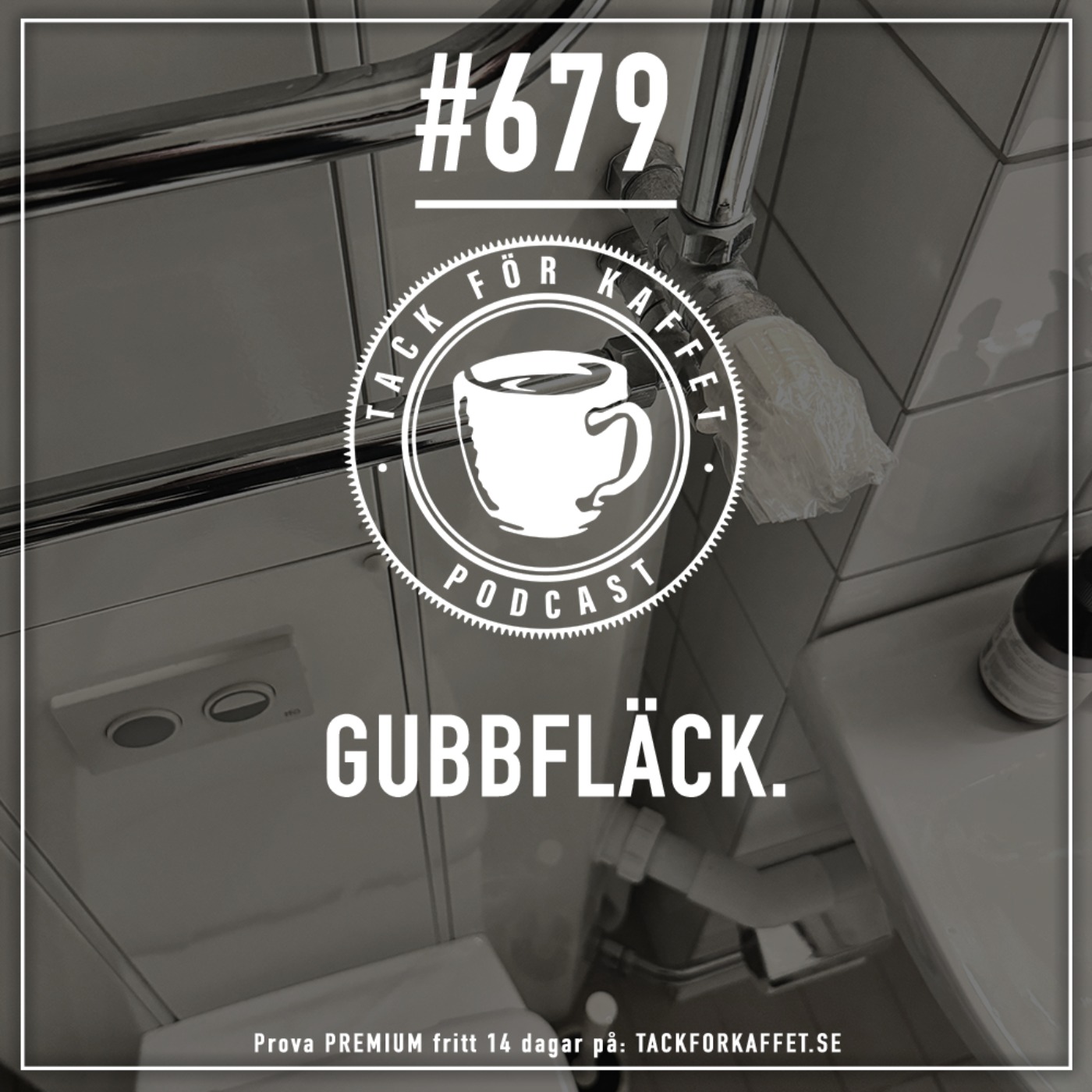 cover art for 679. Gubbfläck.