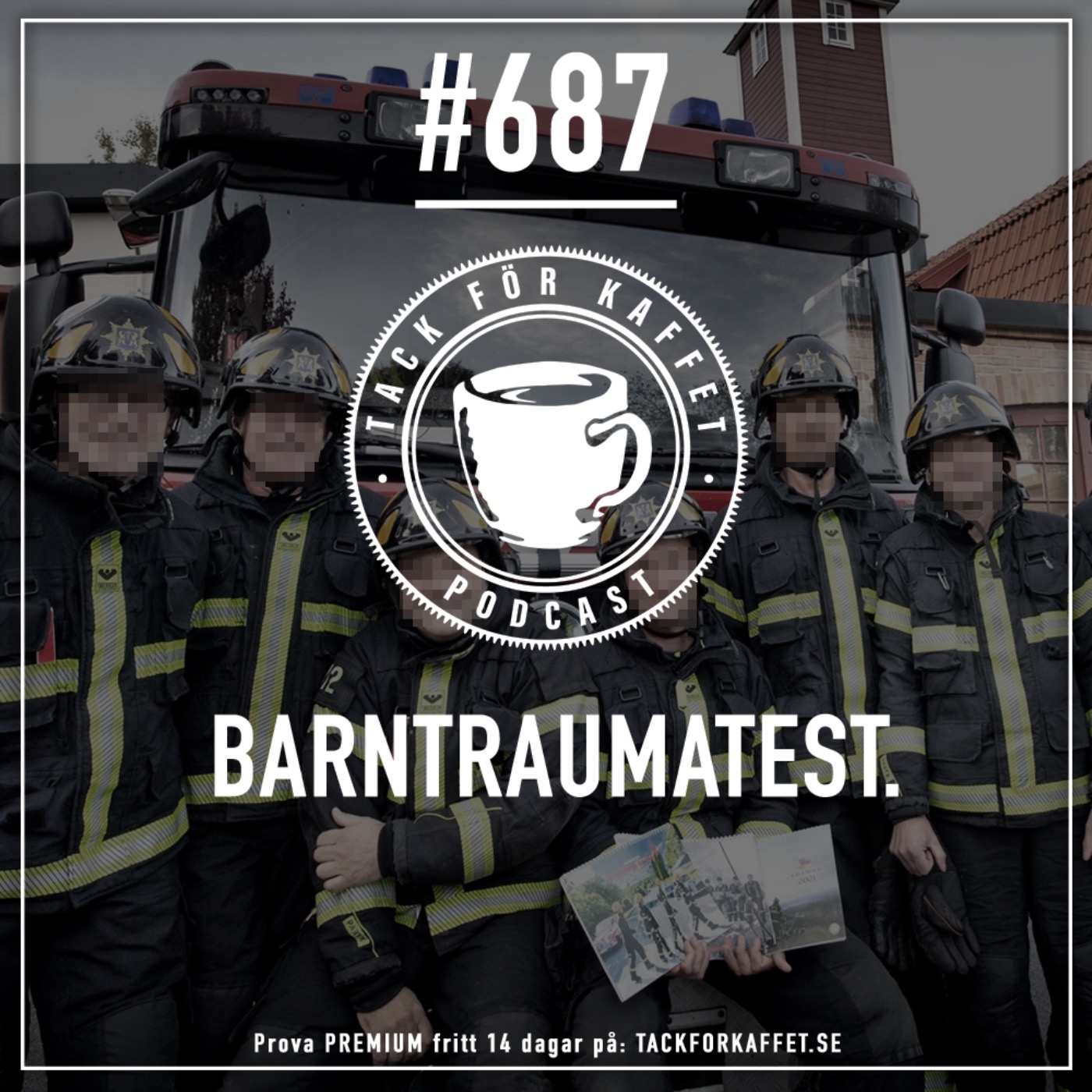 cover art for 687. Barntraumatest.