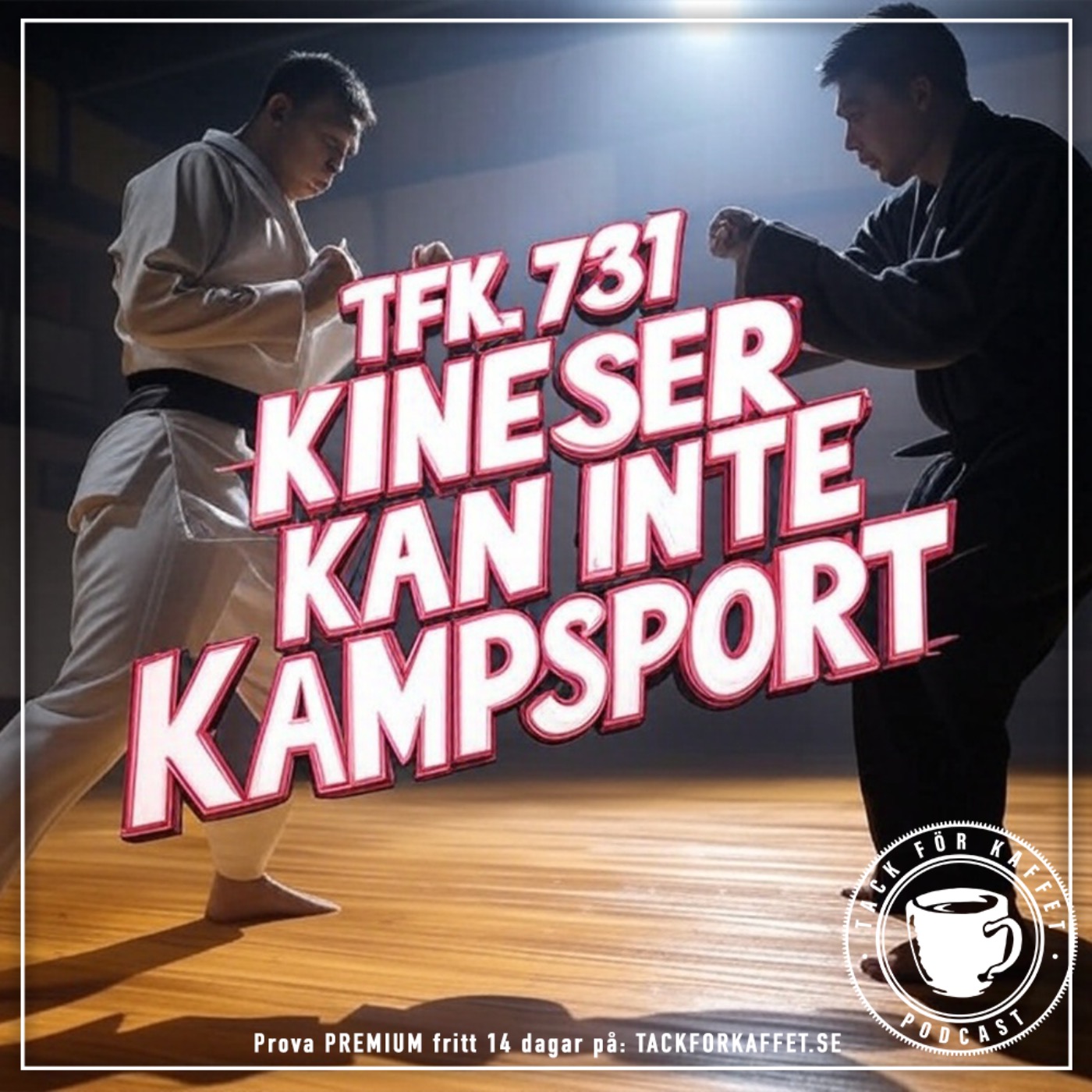 731. Kineser kan inte kampsort. episode artwork