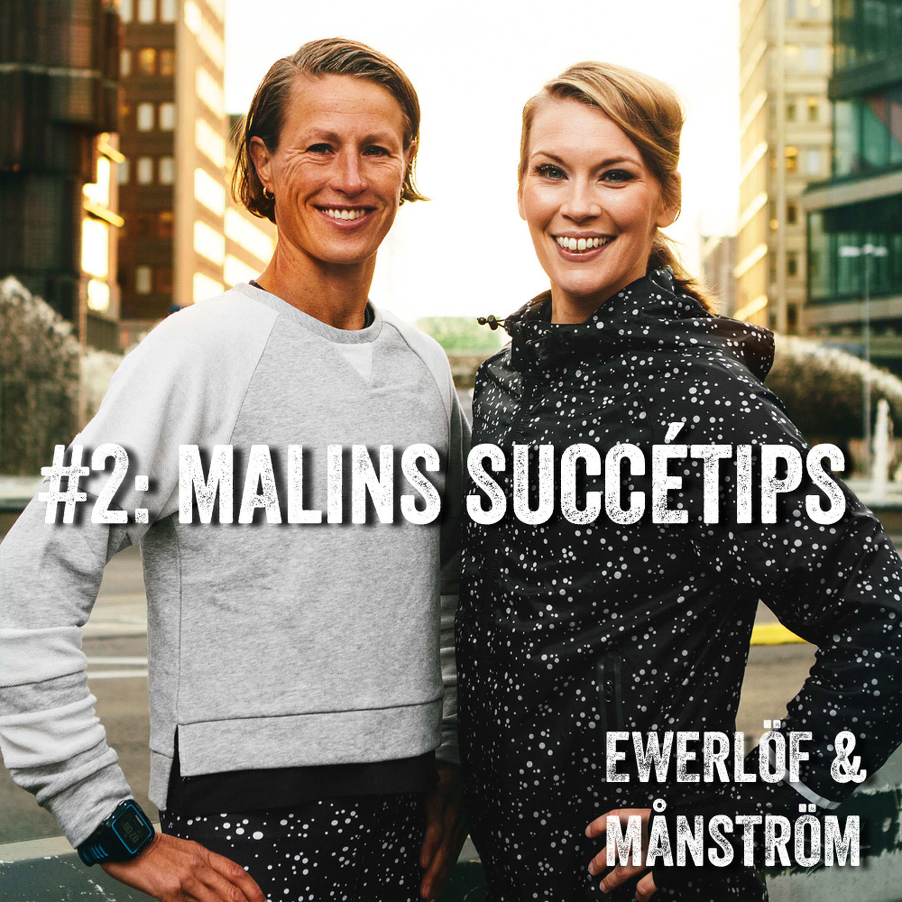 #2: Malins succétips