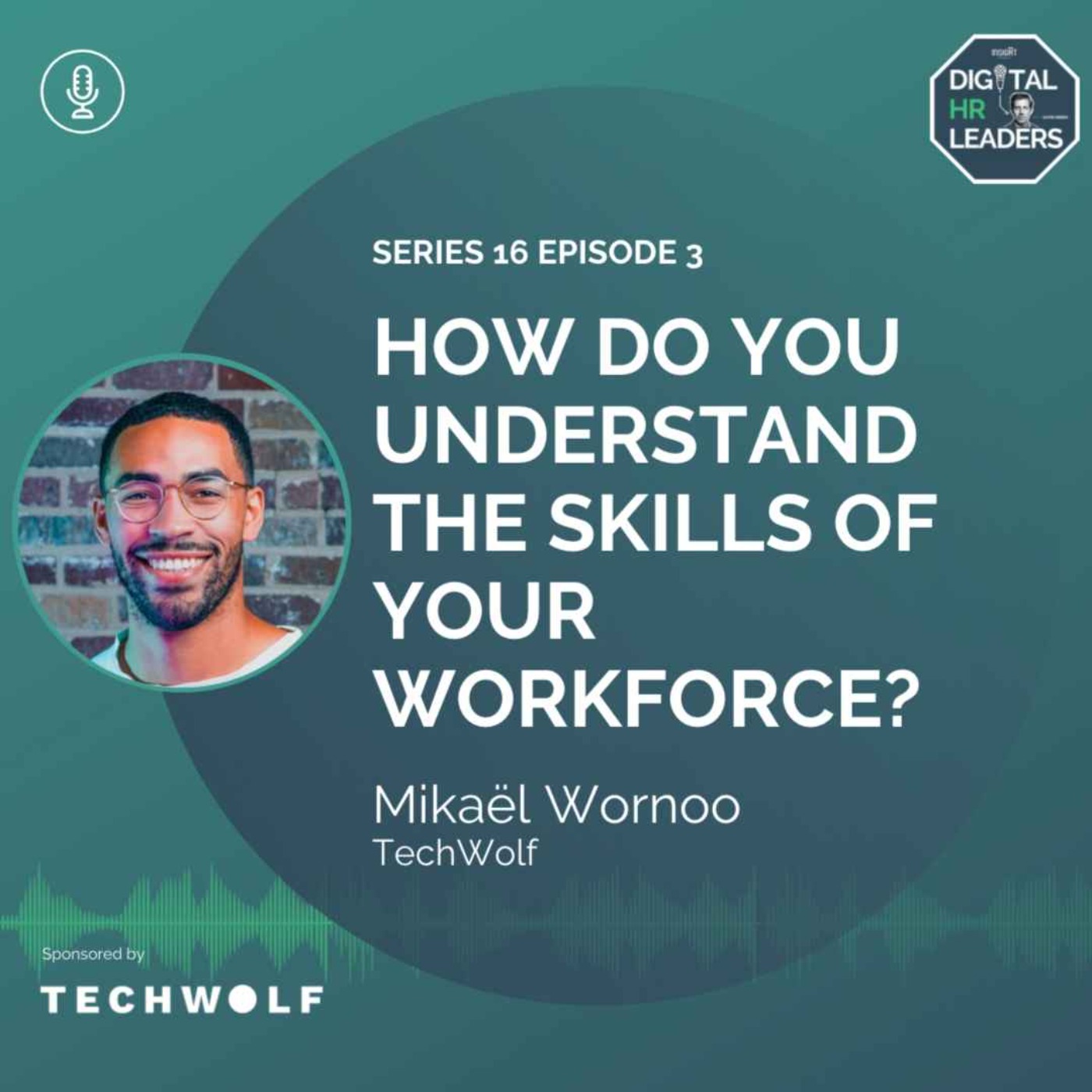 How Do You Understand the Skills of Your Workforce? (Interview with Mikaël Wornoo)