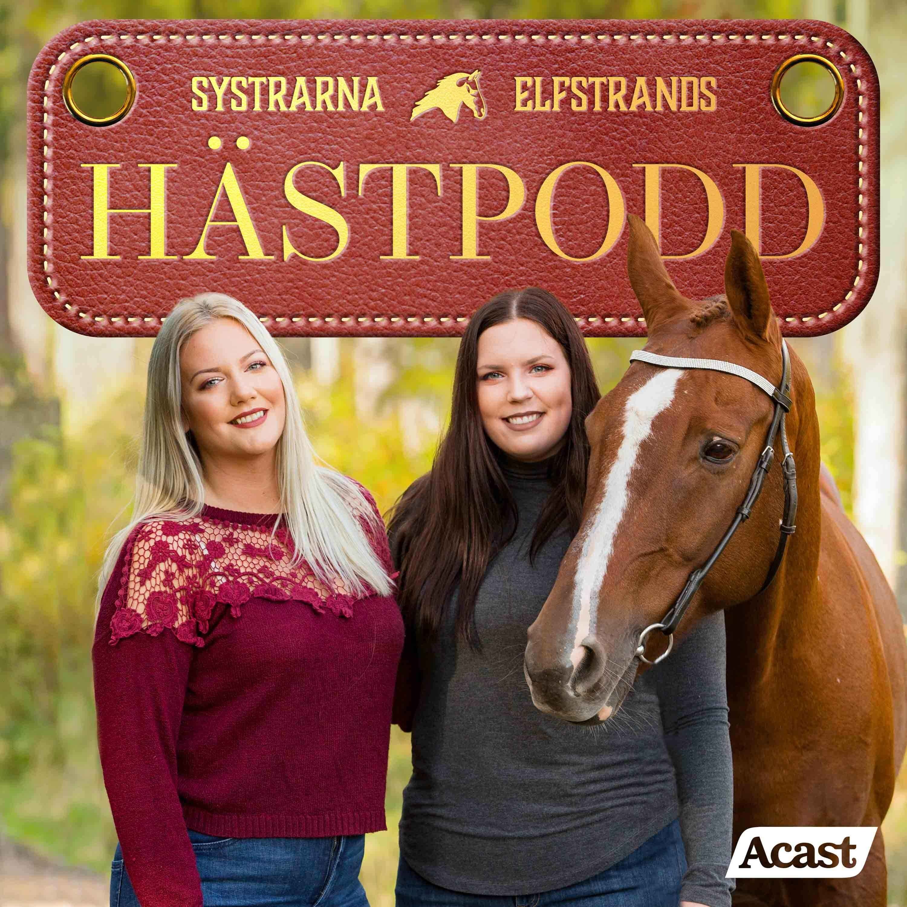275. Motivationsdipp & letar en hemfrisör/ryttare