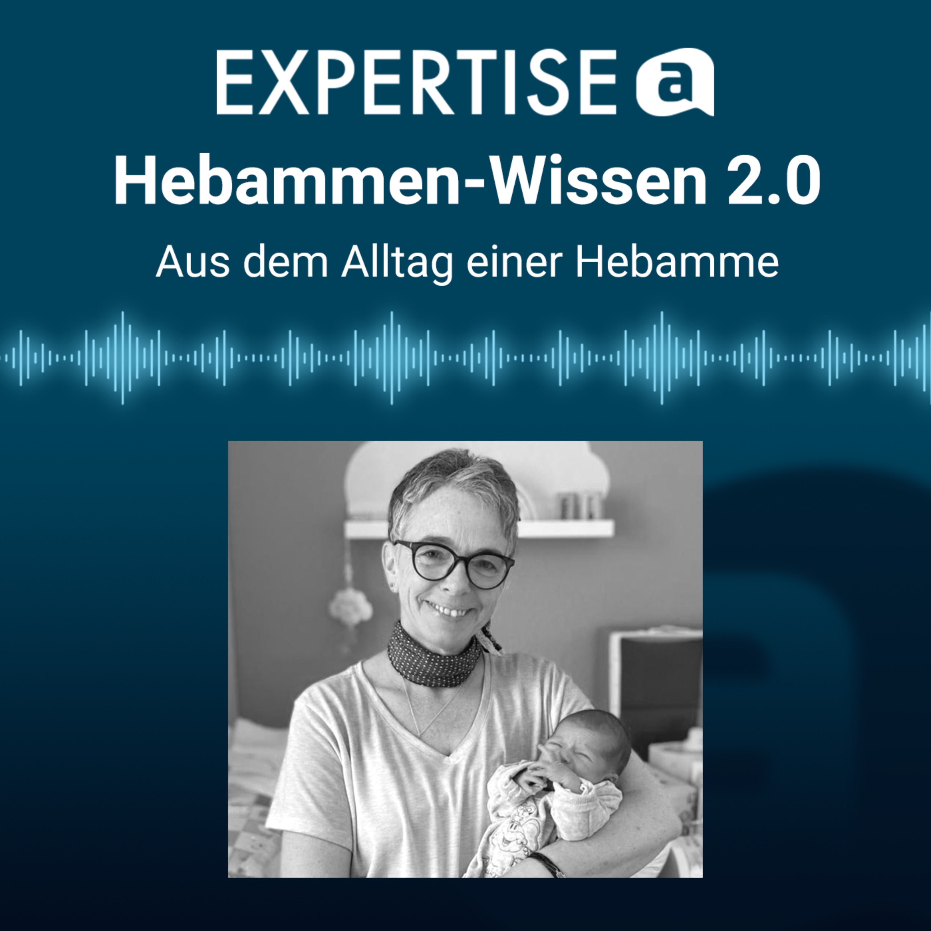 cover art for Hebammen-Wissen 2.0
